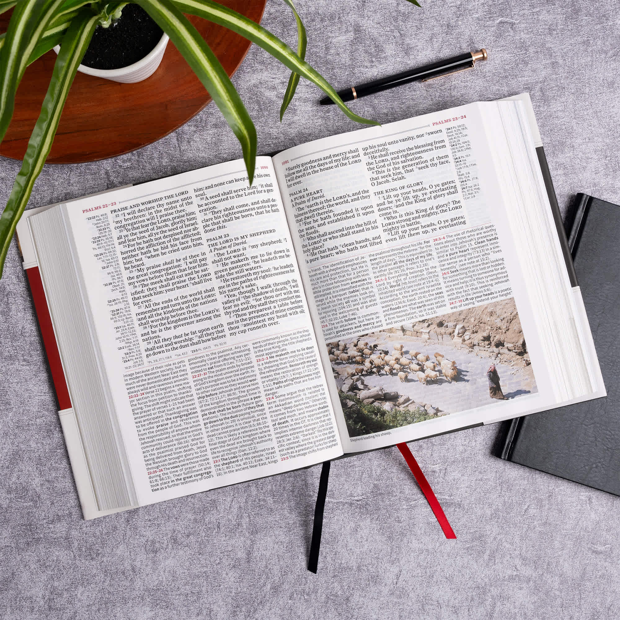 slide 5 of 11 for KJV Study Bible, Large Print Edition, Charcoal Cloth Over Board