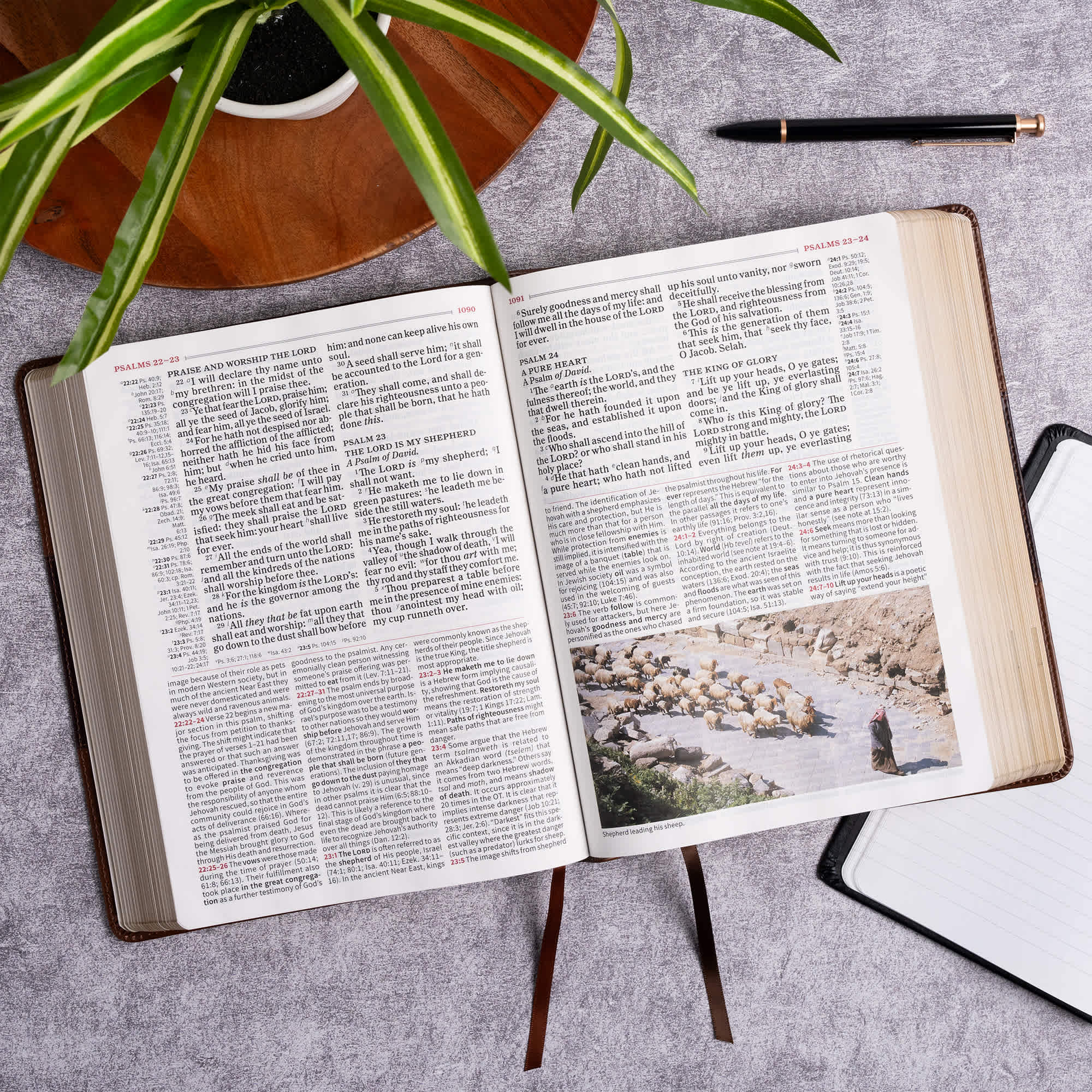 slide 7 of 11 for KJV Study Bible, Large Print Edition, Saddle Brown LeatherTouch