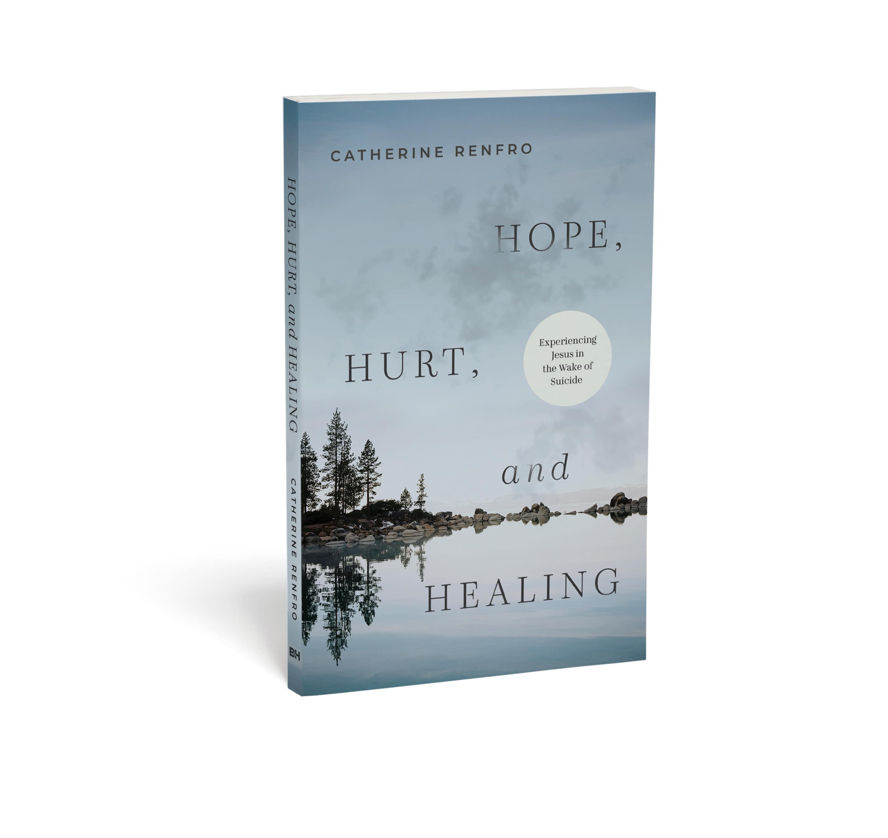 slide 3 of 3 for Hope, Hurt, and Healing