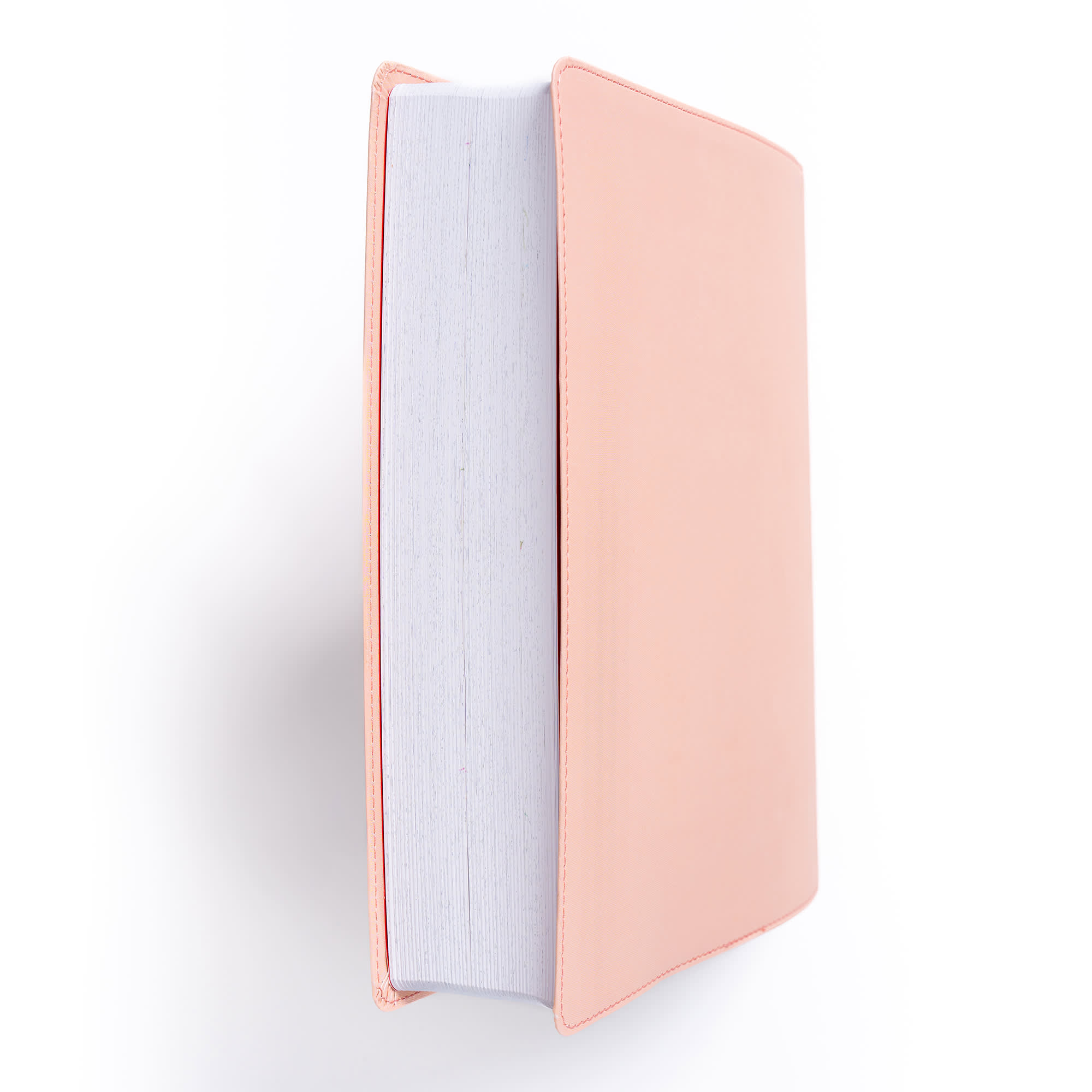 slide 4 of 12 for CSB Illustrator’s Notetaking Bible, Large Print Edition, Peach Bouquet LeatherTouch