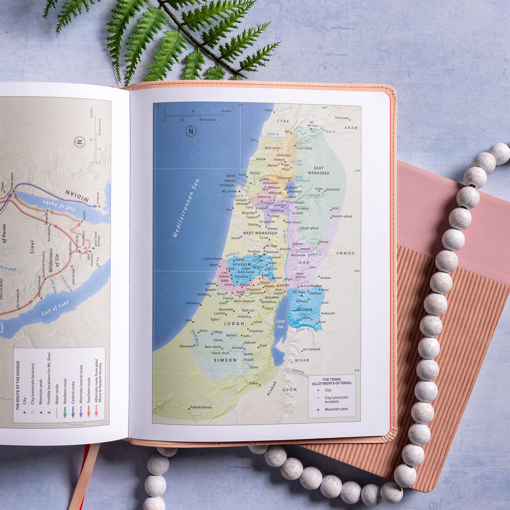 slide 5 of 12 for CSB Illustrator’s Notetaking Bible, Large Print Edition, Peach Bouquet LeatherTouch