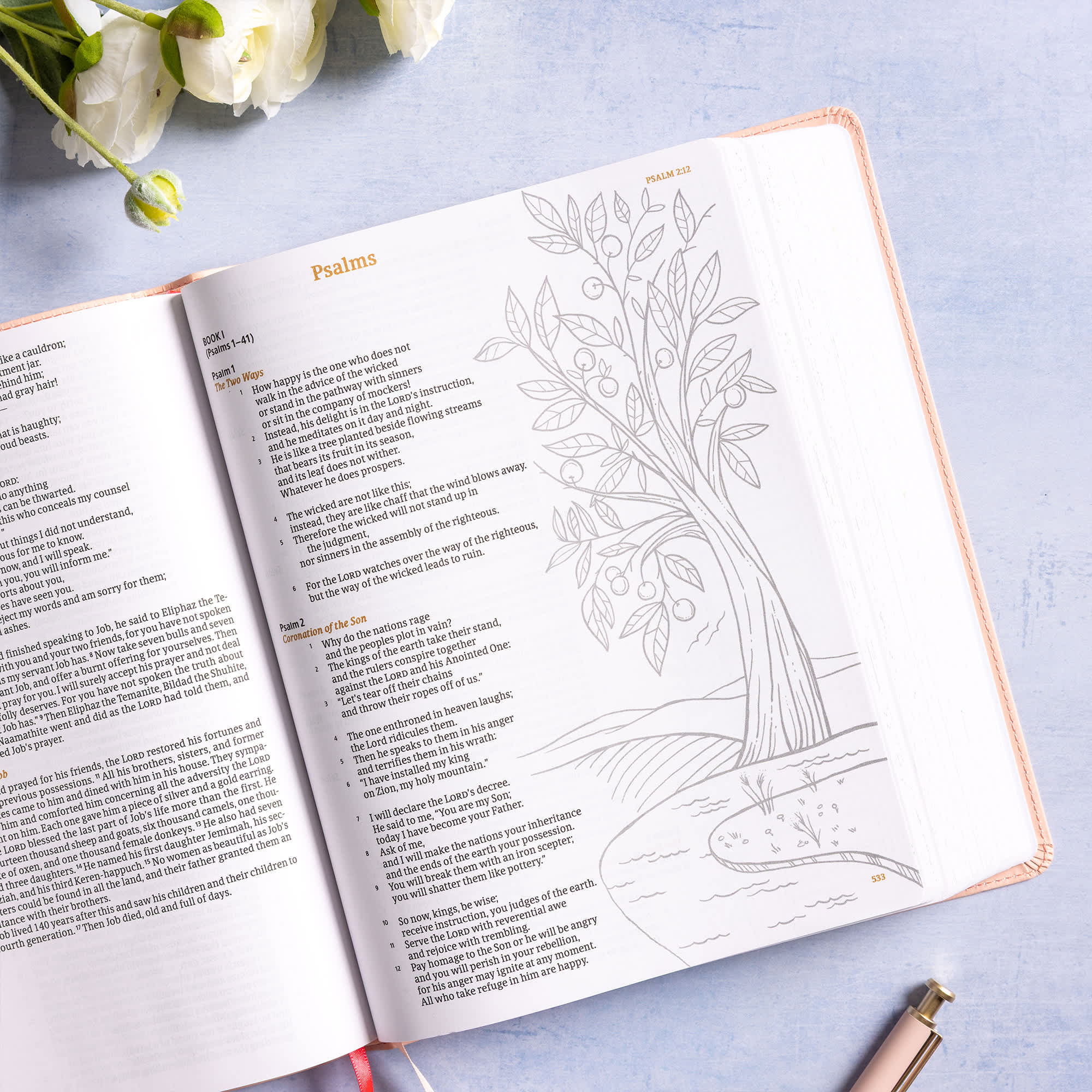 slide 6 of 12 for CSB Illustrator’s Notetaking Bible, Large Print Edition, Peach Bouquet LeatherTouch