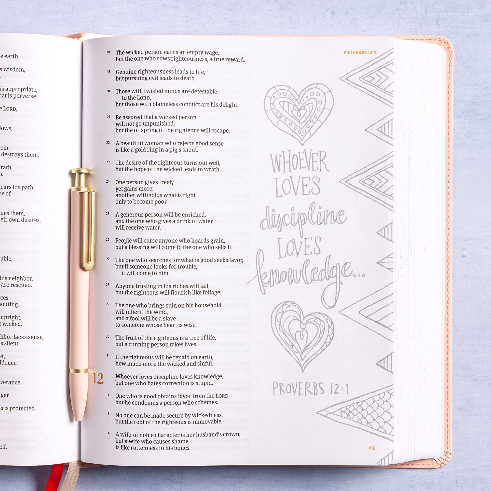 slide 7 of 12 for CSB Illustrator’s Notetaking Bible, Large Print Edition, Peach Bouquet LeatherTouch