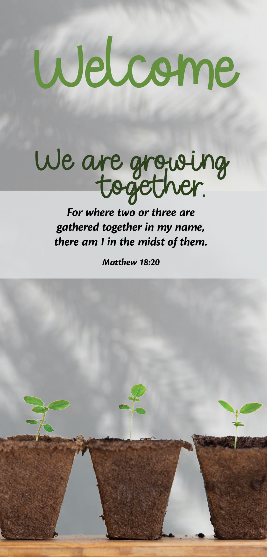 Guest Welcome Card: We Are Growing (Package of 50)