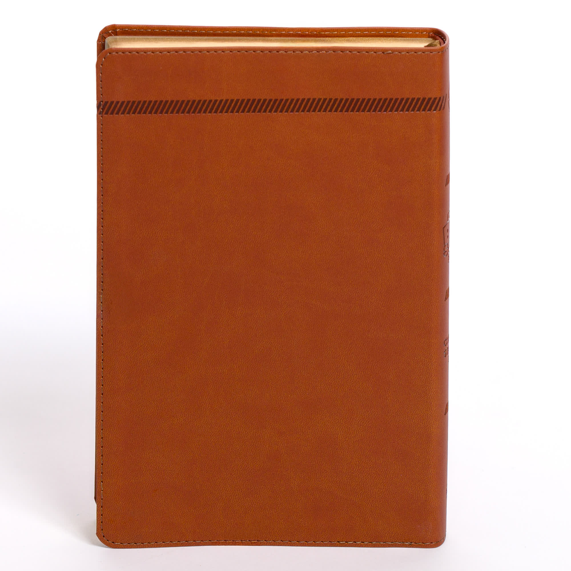 slide 13 of 13 for CSB One Big Story Bible, Brown LeatherTouch