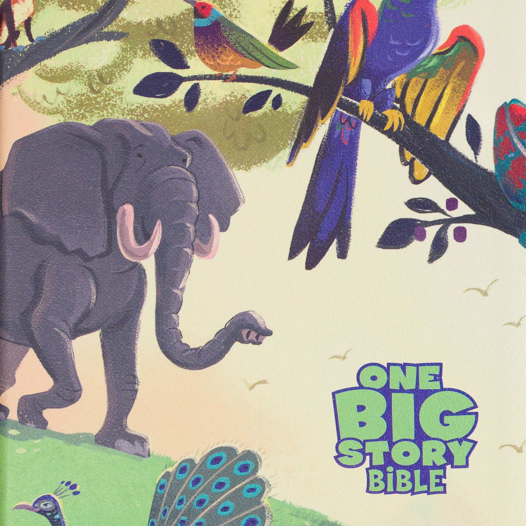 slide 8 of 12 for CSB One Big Story Bible, Creation LeatherTouch