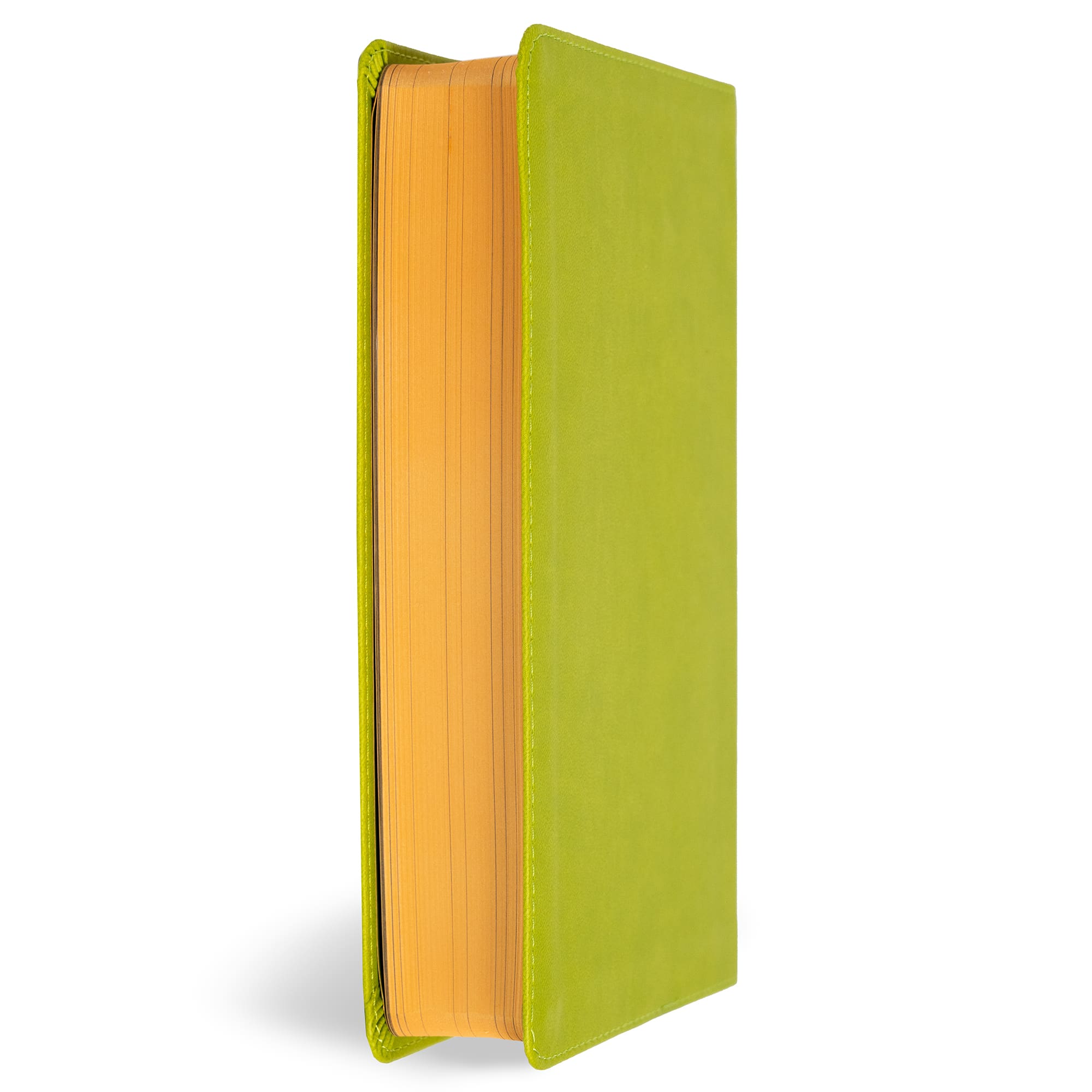 slide 3 of 15 for KJV Kids Bible, Green LeatherTouch