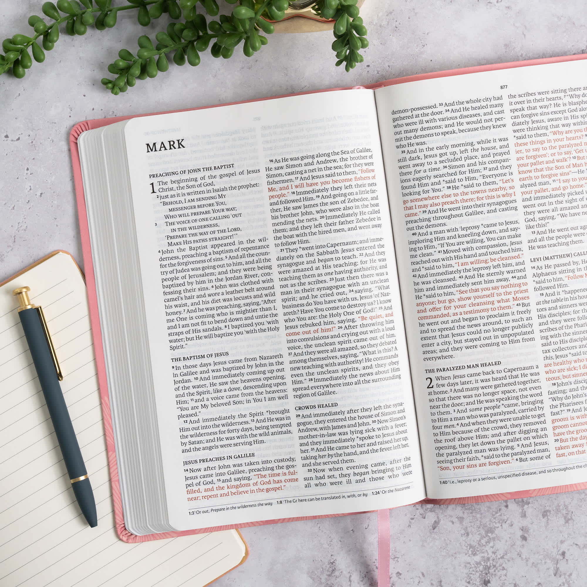 slide 5 of 10 for NASB Large Print Thinline Bible, Value Edition, Soft Pink LeatherTouch