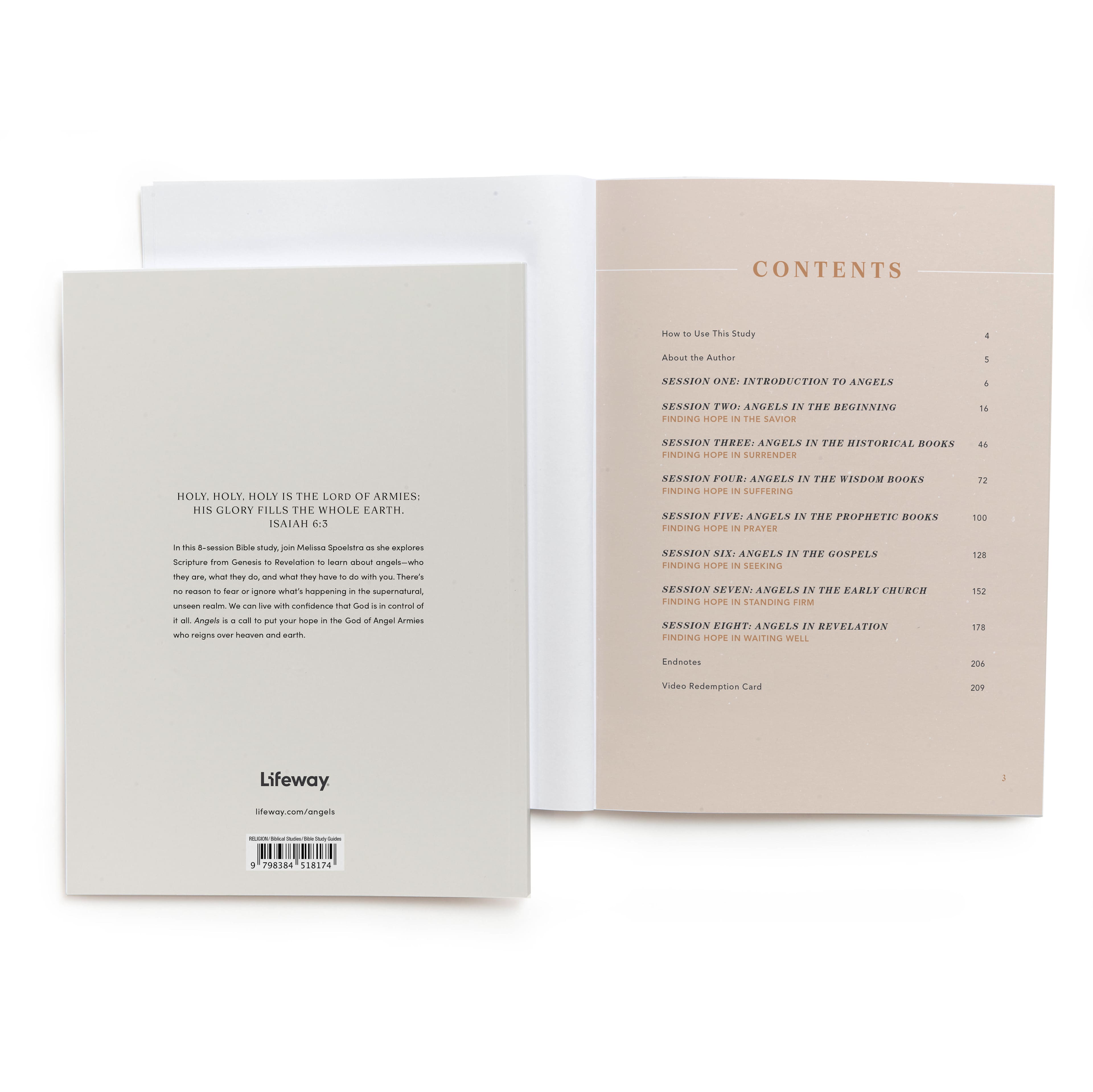 slide 2 of 4 for Angels - Bible Study Book with Video Access