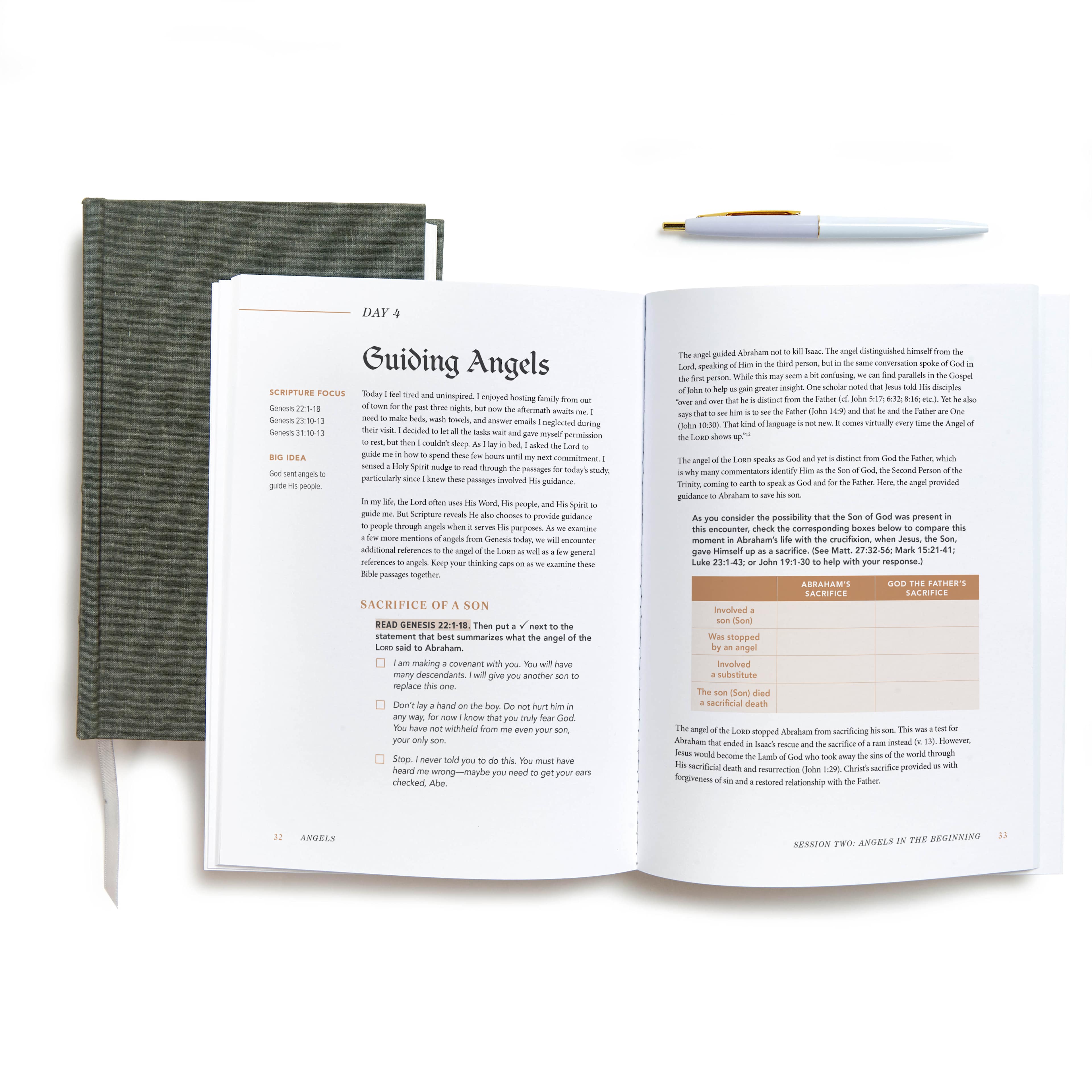 slide 3 of 4 for Angels - Bible Study Book with Video Access