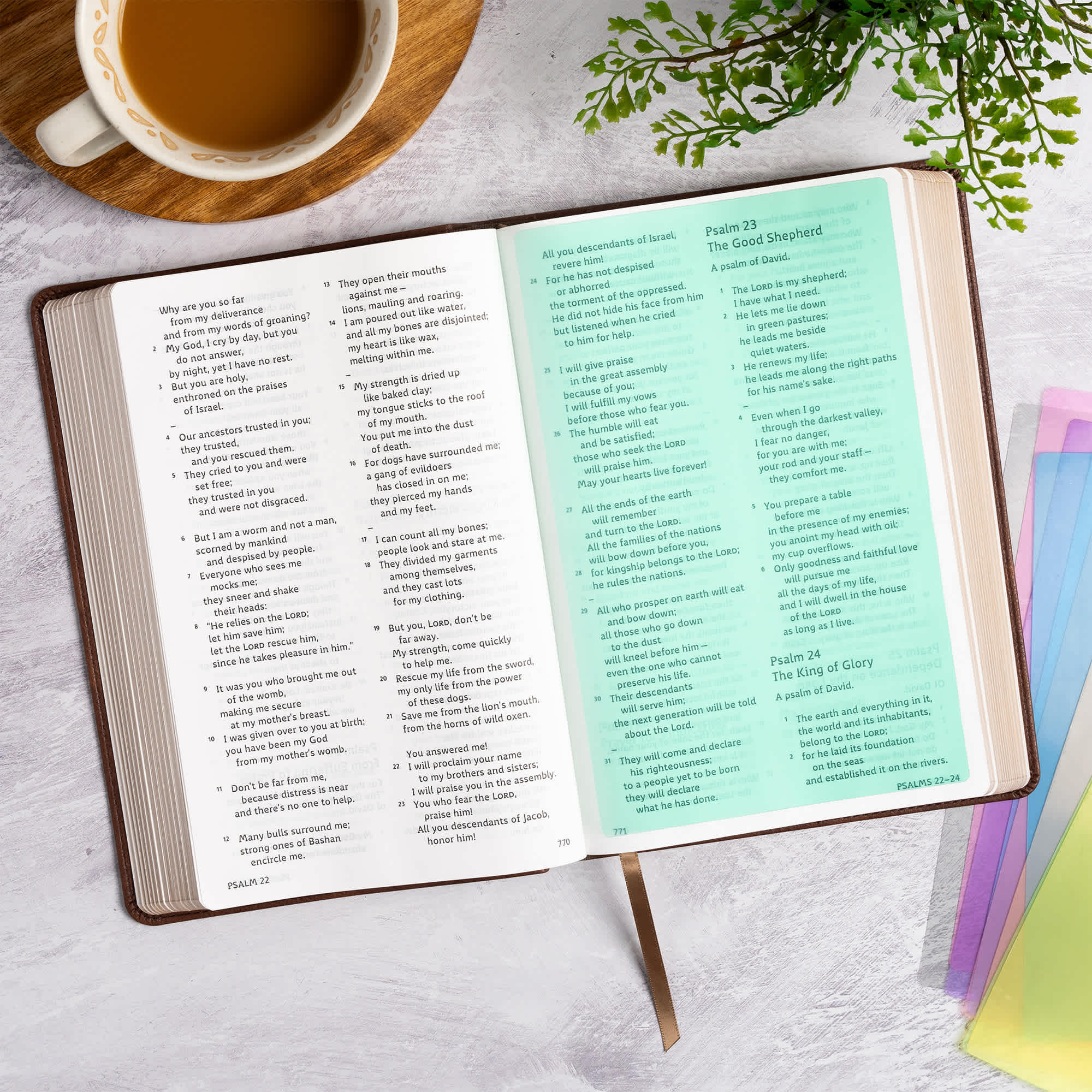 slide 4 of 18 for CSB Grace Bible, Brown LeatherTouch (Dyslexia Friendly)