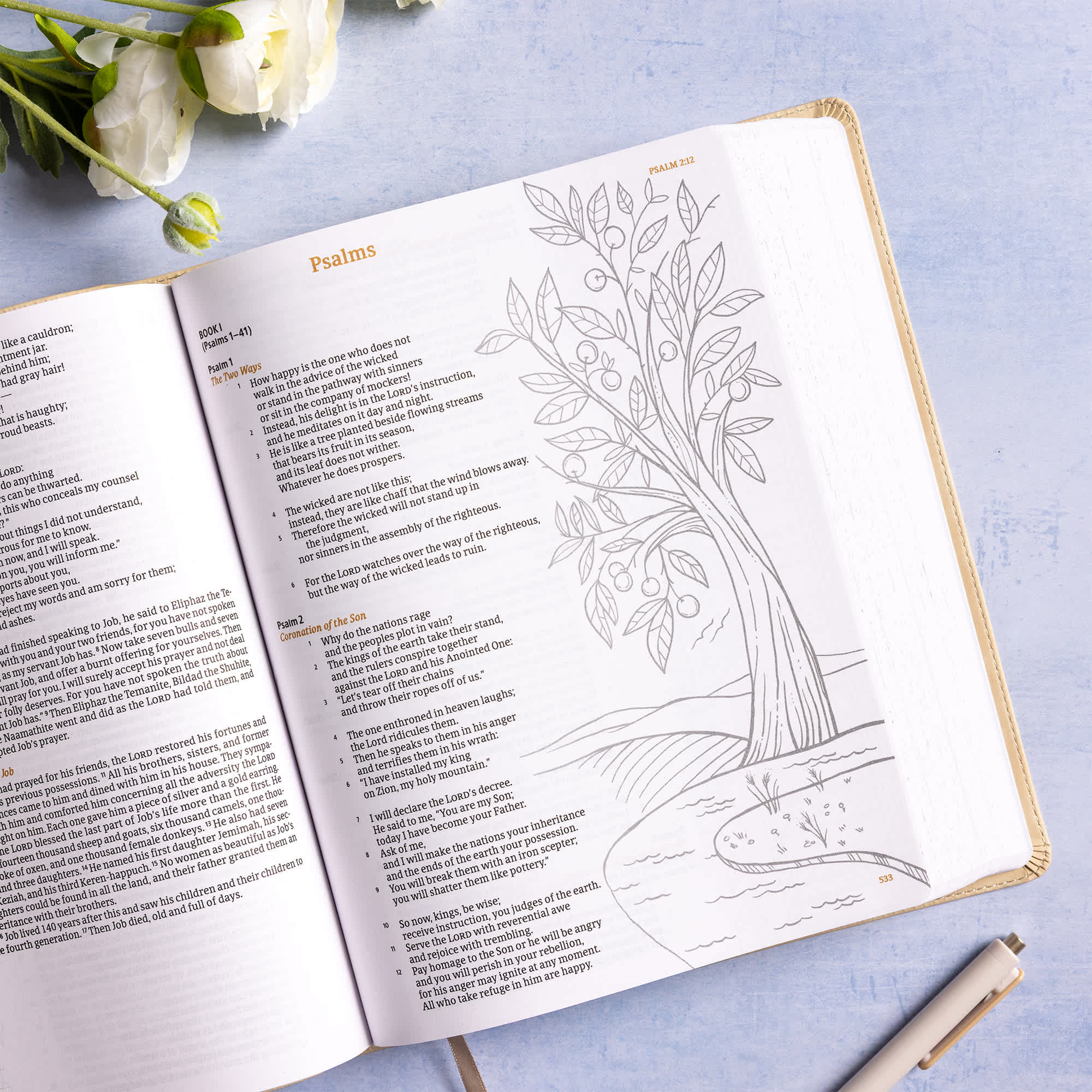 slide 5 of 12 for CSB Illustrator’s Notetaking Bible, Large Print Edition, Cream LeatherTouch