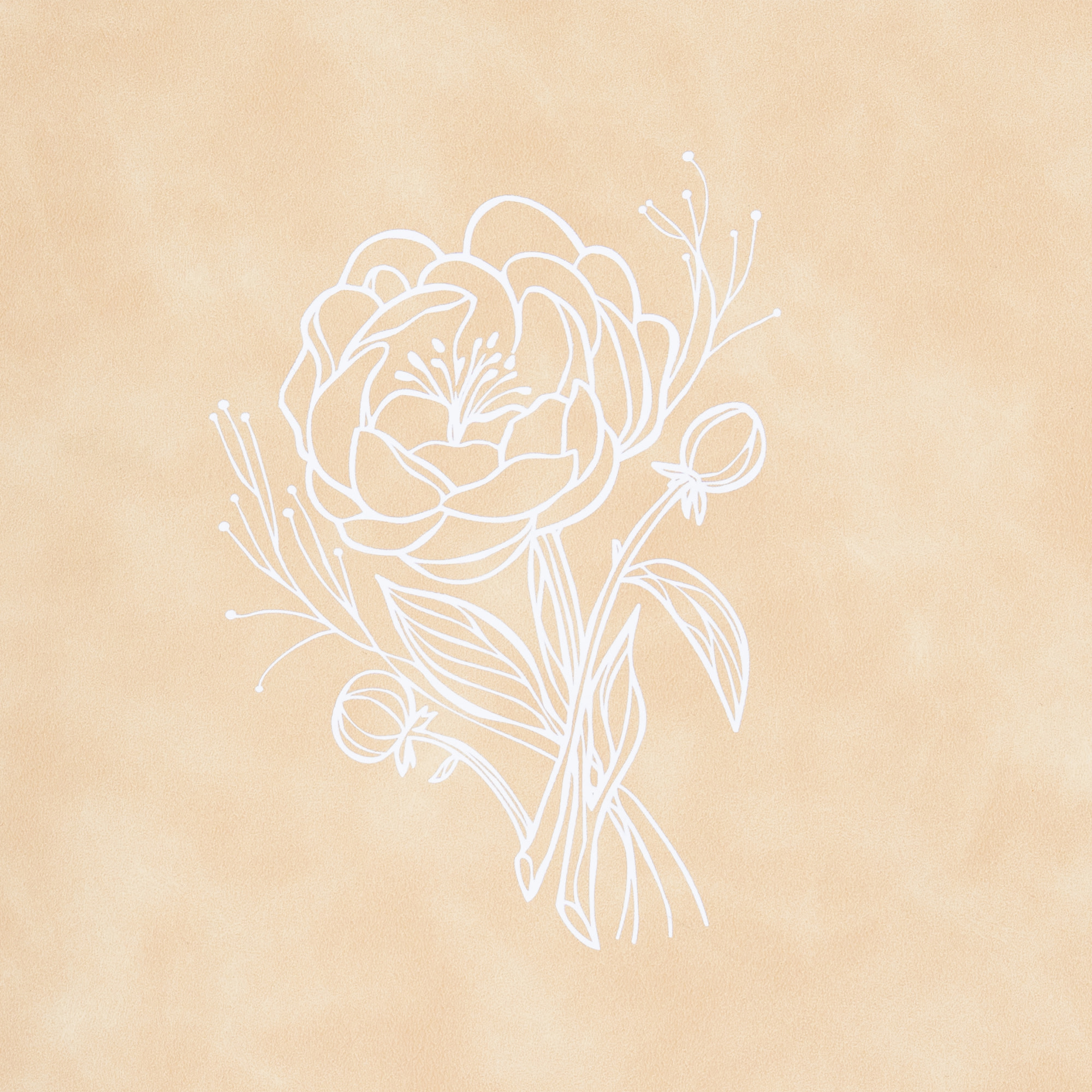 slide 10 of 12 for CSB Illustrator’s Notetaking Bible, Large Print Edition, Cream LeatherTouch