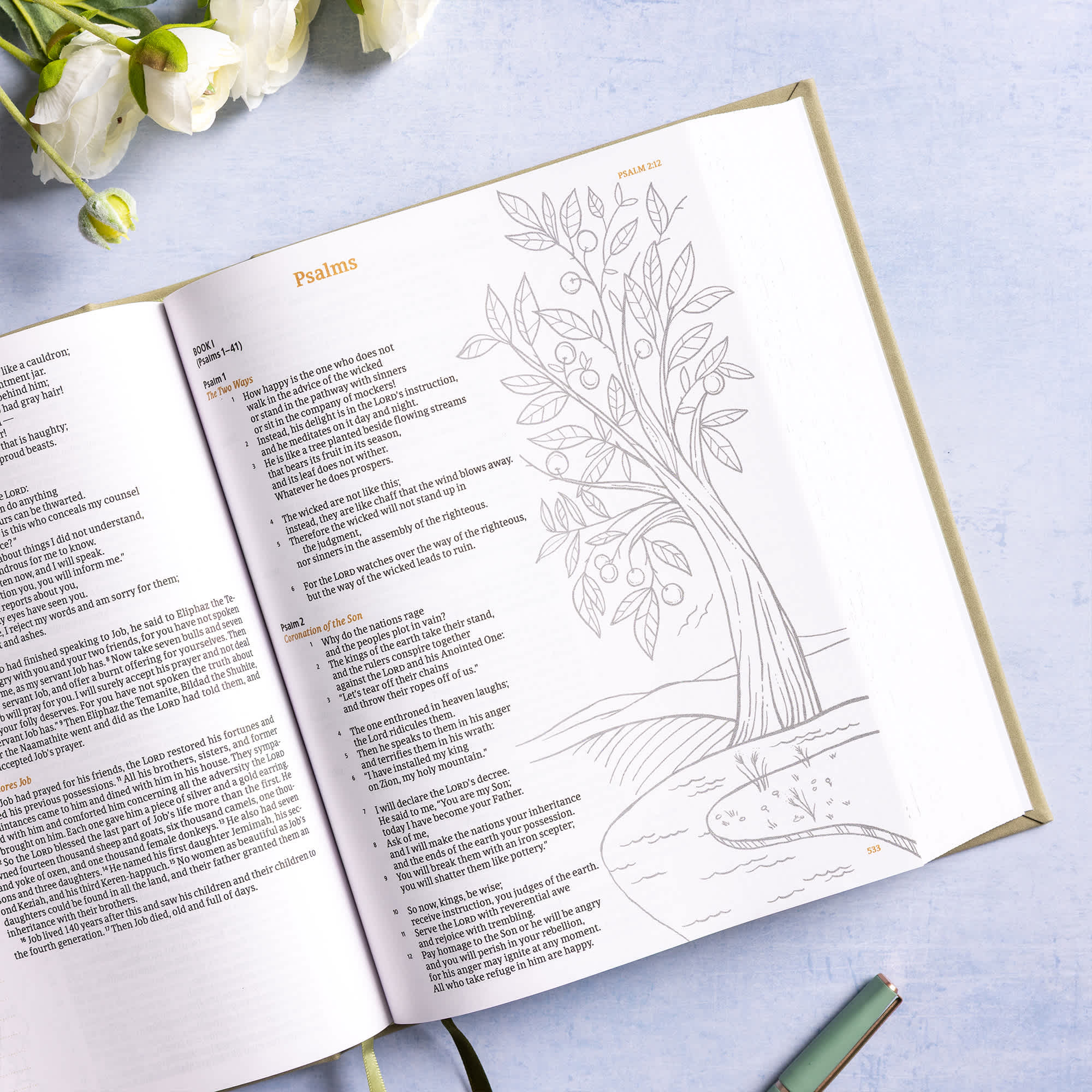 slide 6 of 11 for CSB Illustrator’s Notetaking Bible, Large Print Edition, Sage SuedeSoft LeatherTouch Over Board