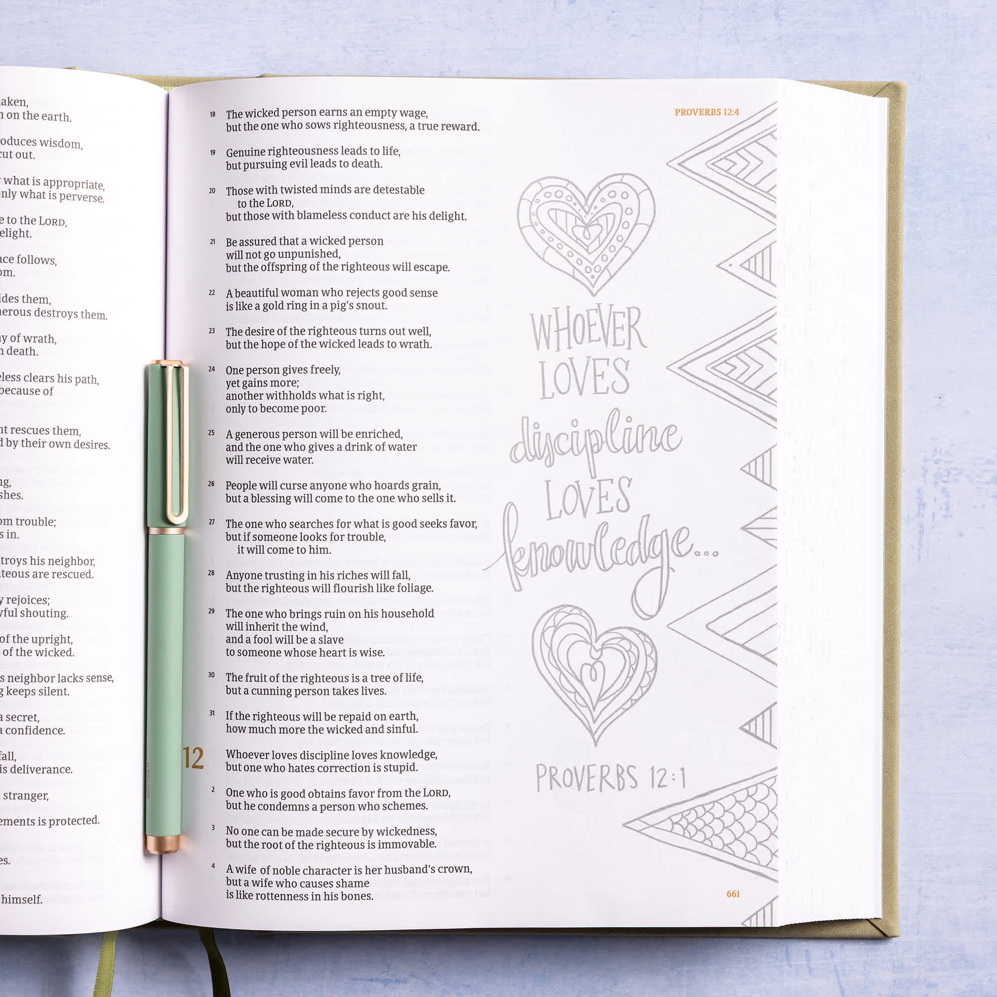 slide 7 of 11 for CSB Illustrator’s Notetaking Bible, Large Print Edition, Sage SuedeSoft LeatherTouch Over Board