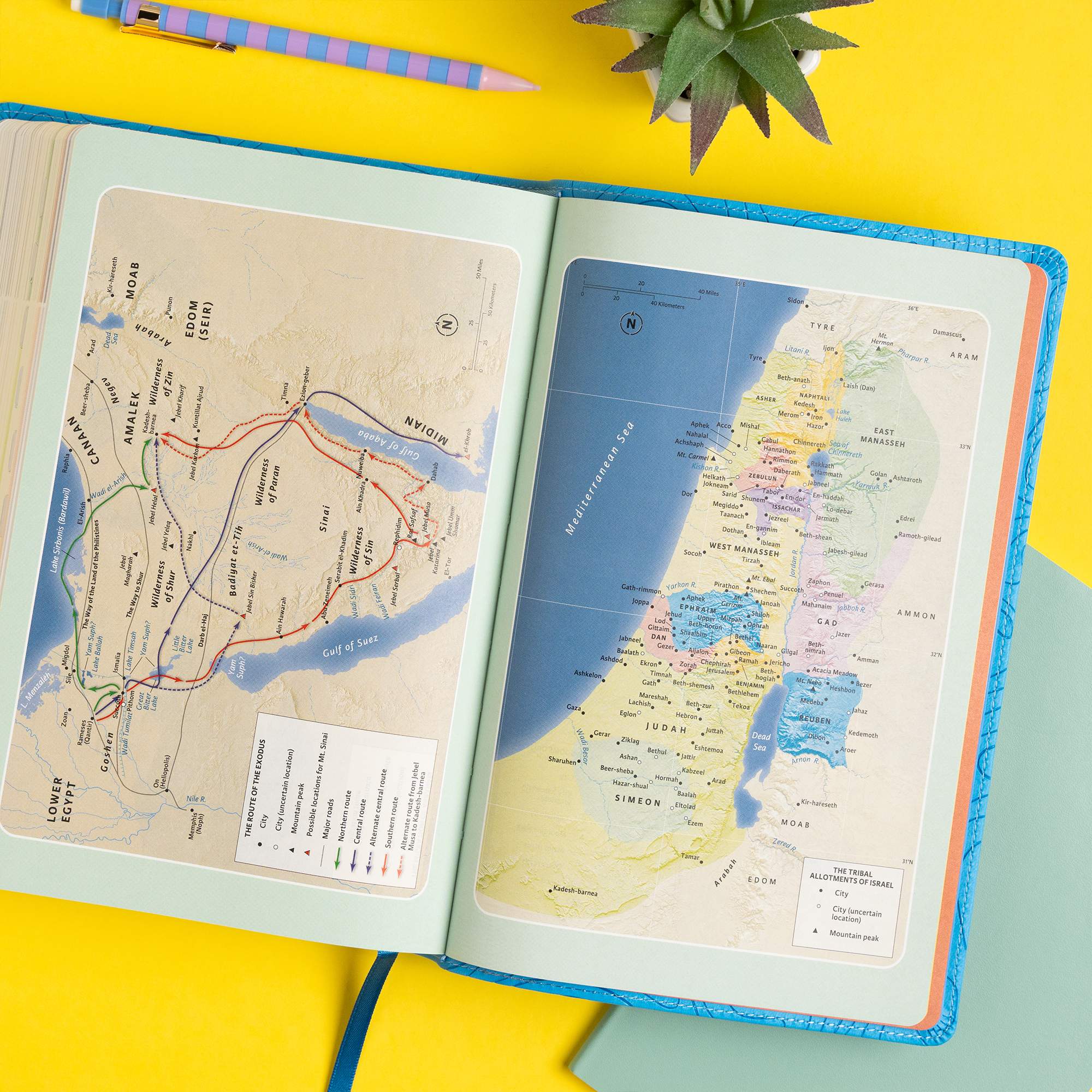 slide 7 of 10 for CSB Explorer Bible for Kids, Sky Blue LeatherTouch, Indexed