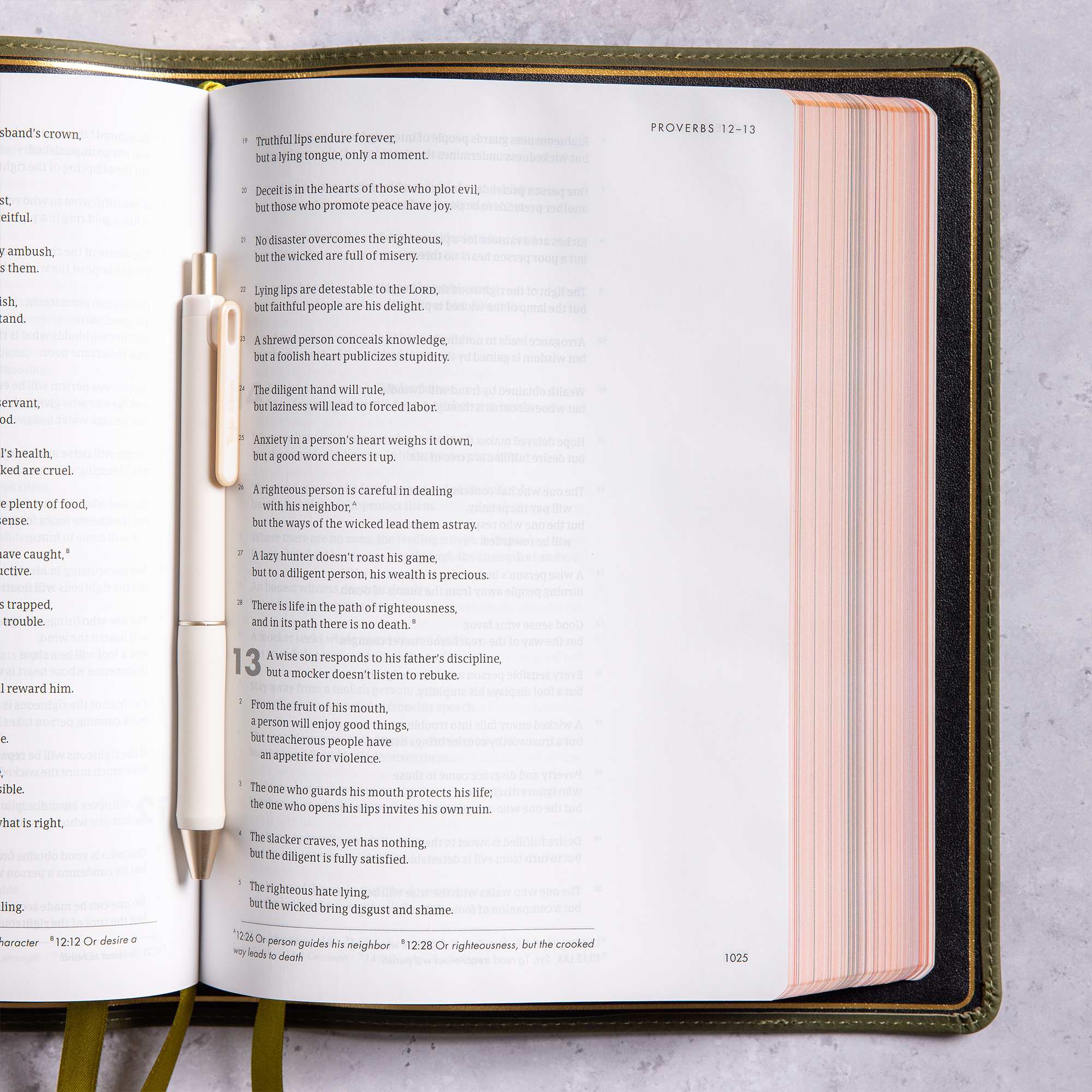 slide 6 of 11 for CSB She Reads Truth Bible, Holman Handcrafted Collection, Olive Premium Calfskin