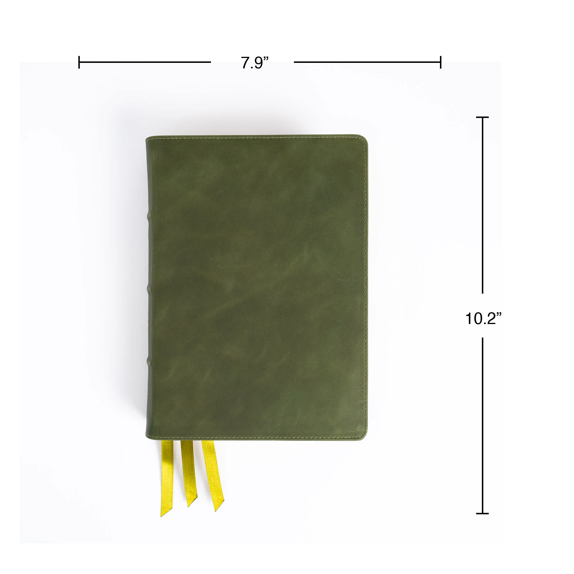 slide 8 of 11 for CSB She Reads Truth Bible, Holman Handcrafted Collection, Olive Premium Calfskin