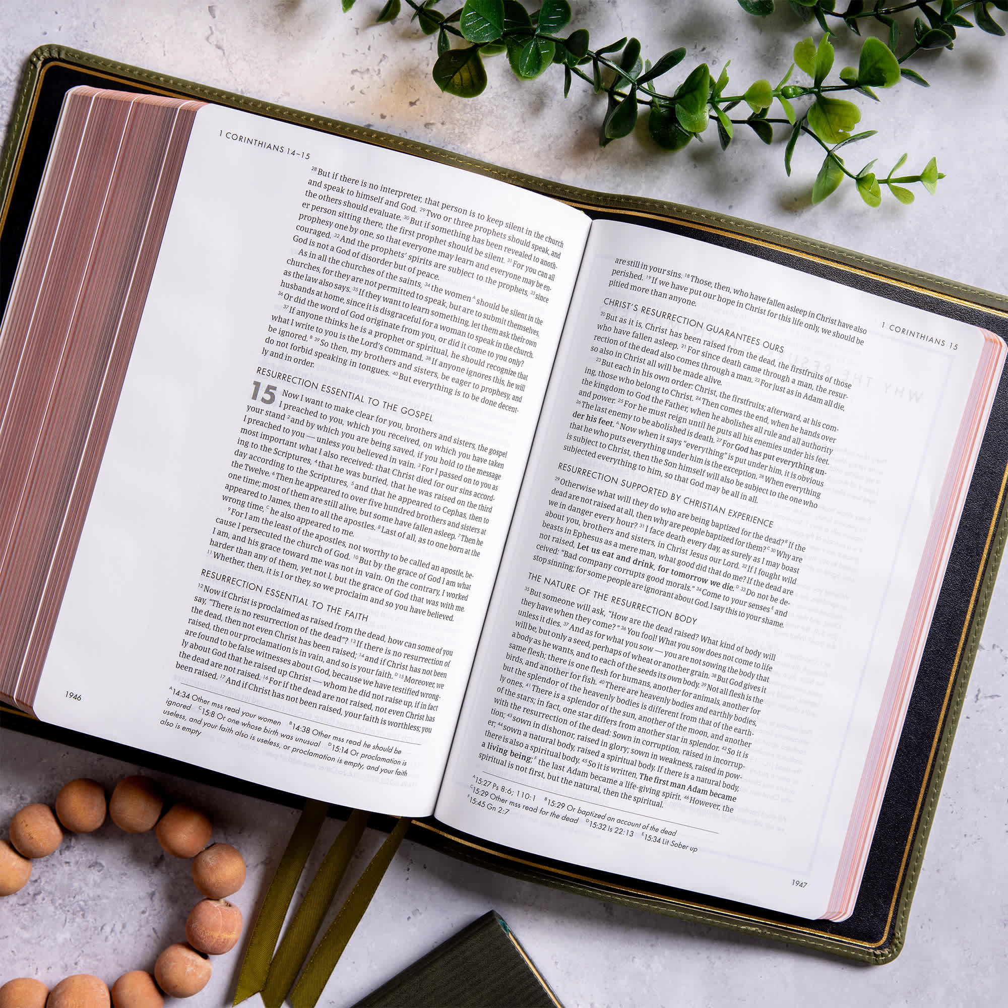slide 11 of 11 for CSB She Reads Truth Bible, Holman Handcrafted Collection, Olive Premium Calfskin