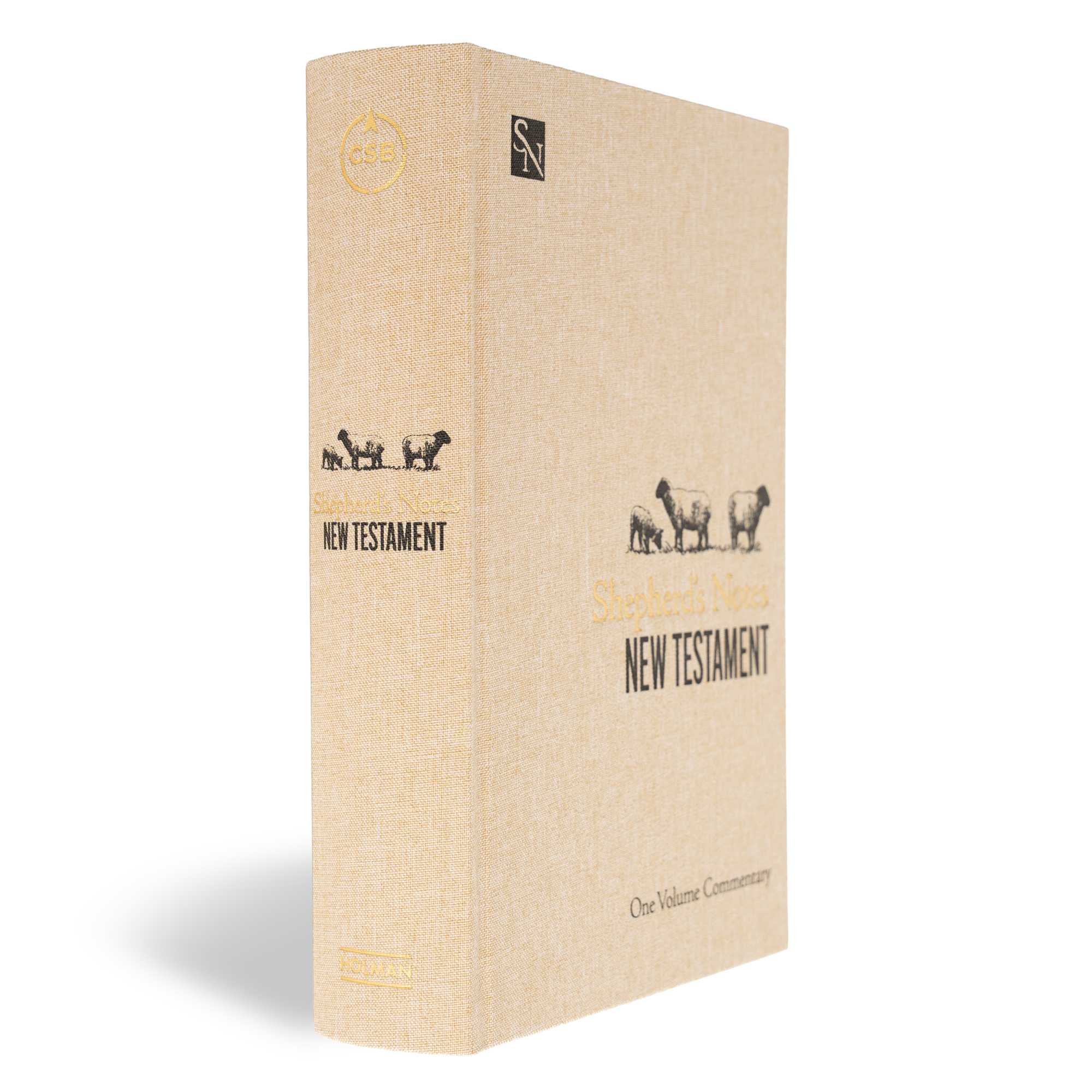 slide 2 of 11 for Shepherd's Notes on the New Testament