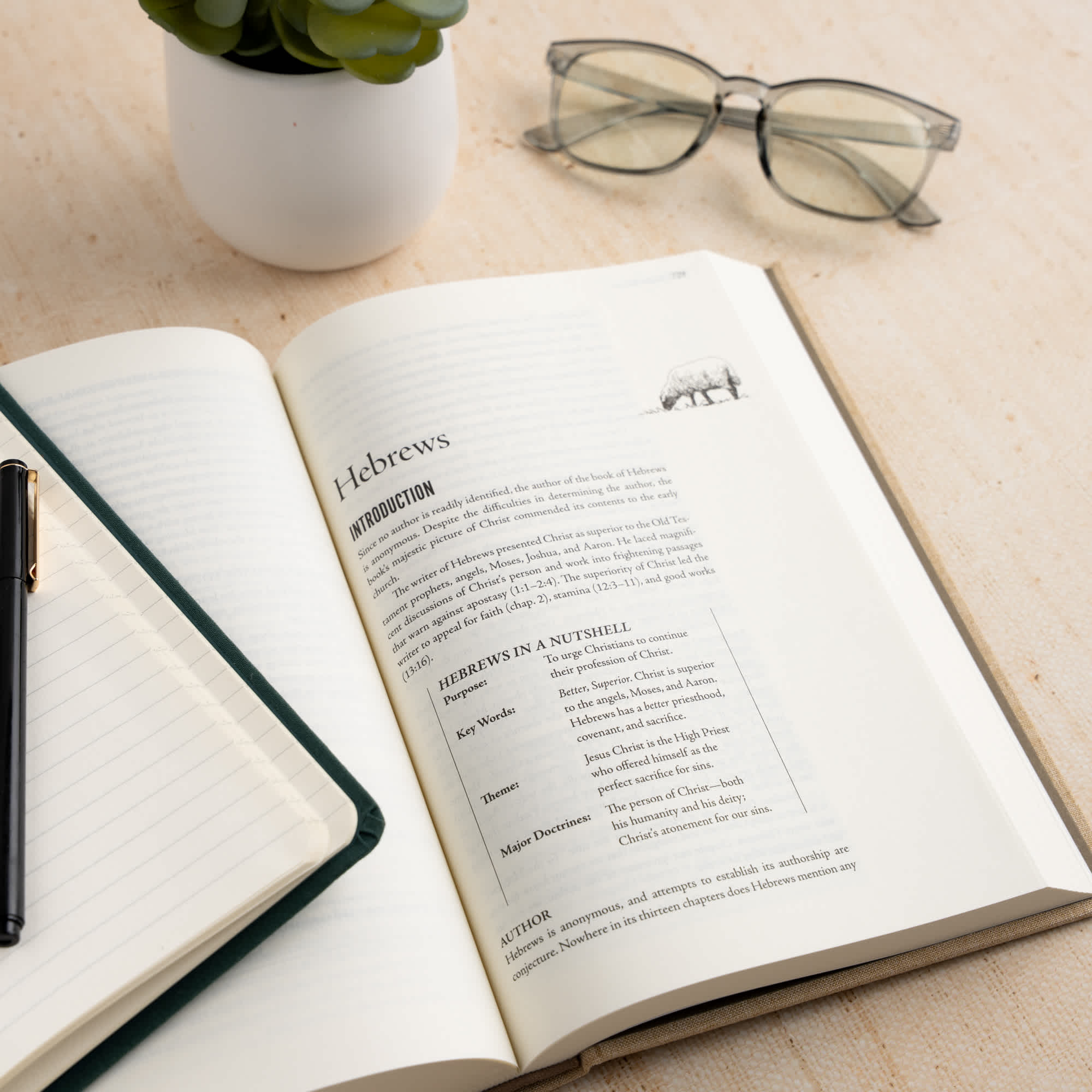 slide 6 of 11 for Shepherd's Notes on the New Testament