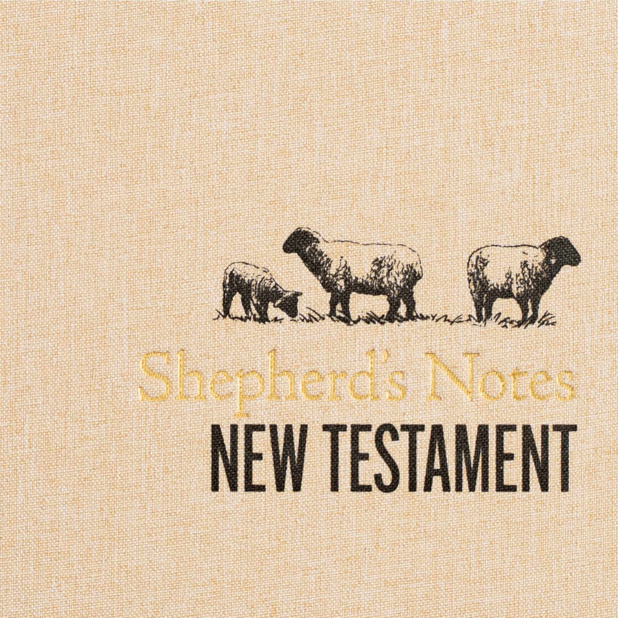 slide 9 of 11 for Shepherd's Notes on the New Testament