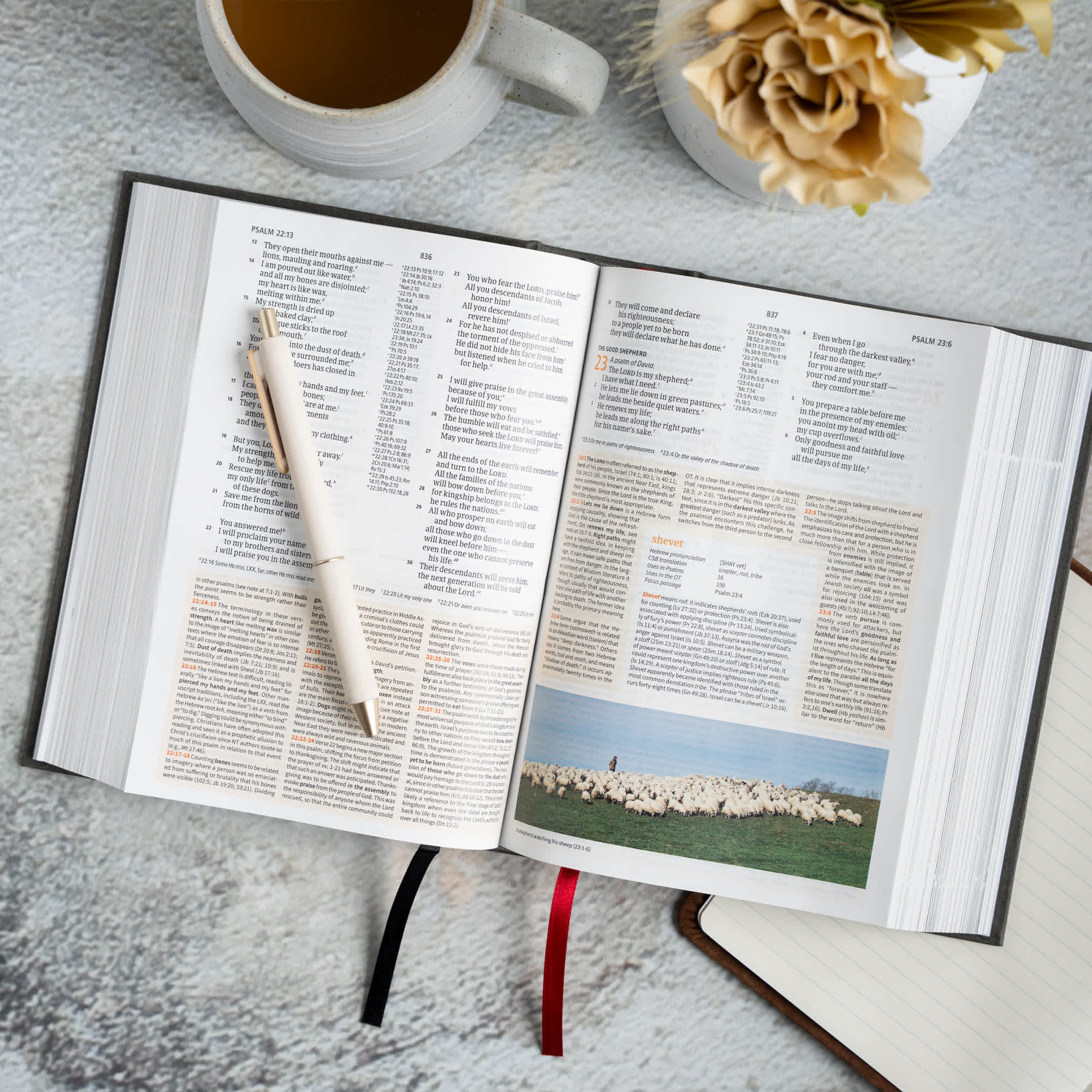 slide 6 of 16 for CSB Study Bible, Personal Size, Digital Study Edition, Charcoal Cloth Over Board