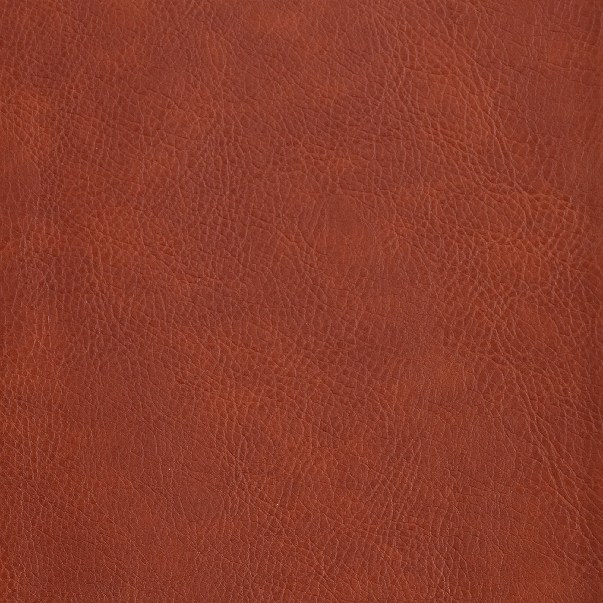 slide 10 of 11 for CSB Study Bible, Personal Size, Digital Study Edition, Burnt Sienna LeatherTouch