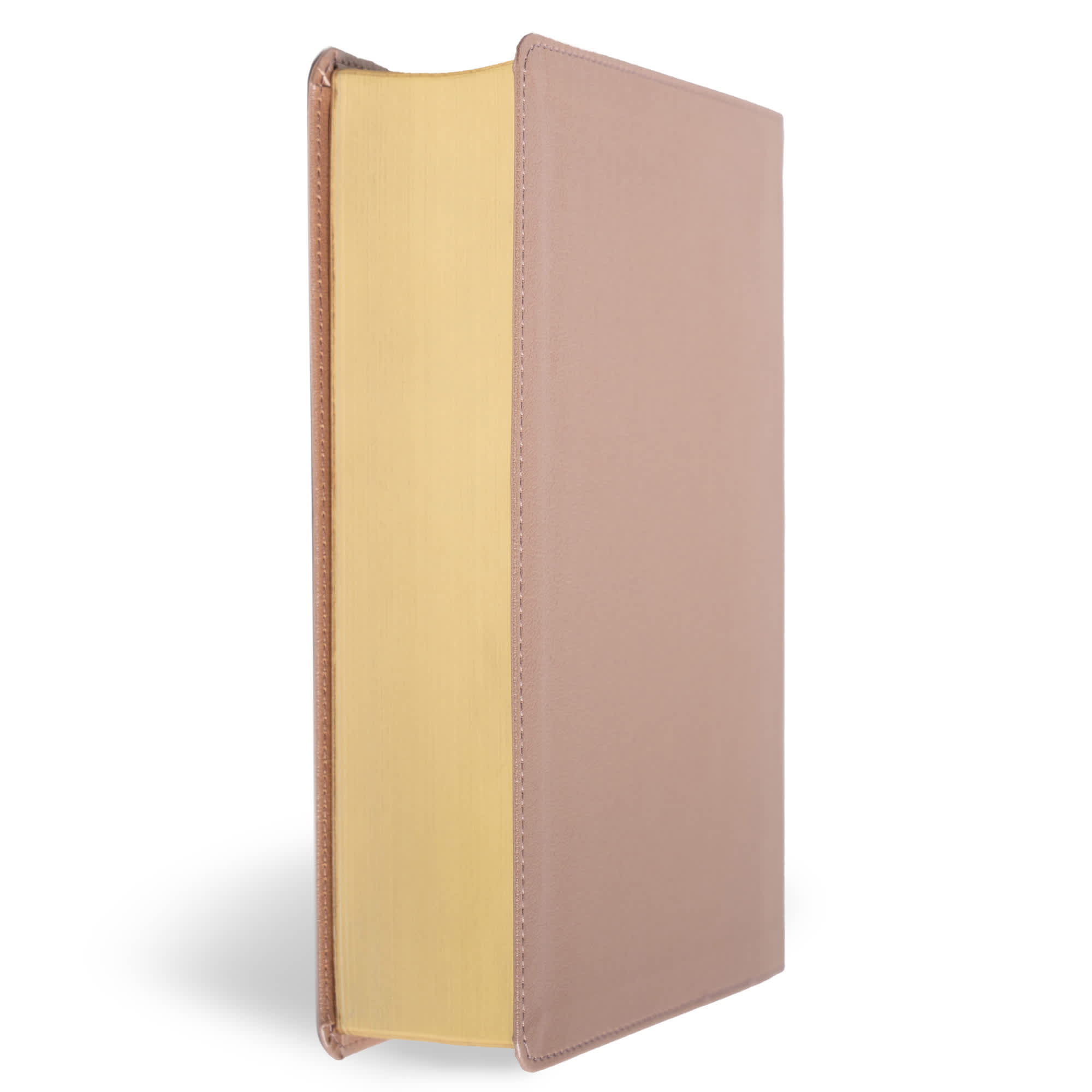slide 4 of 11 for CSB Study Bible, Personal Size, Digital Study Edition, Rose Gold LeatherTouch