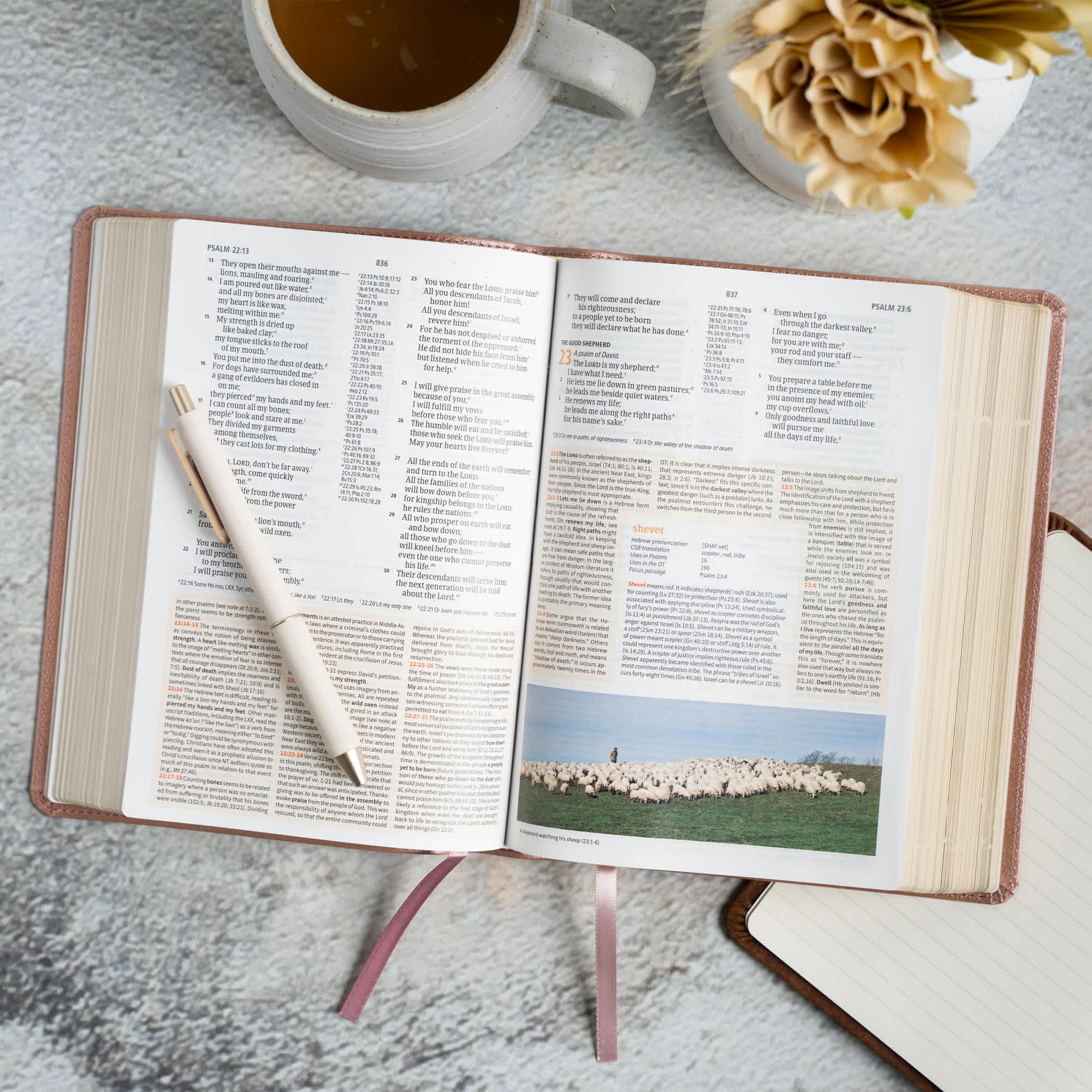 slide 6 of 11 for CSB Study Bible, Personal Size, Digital Study Edition, Rose Gold LeatherTouch