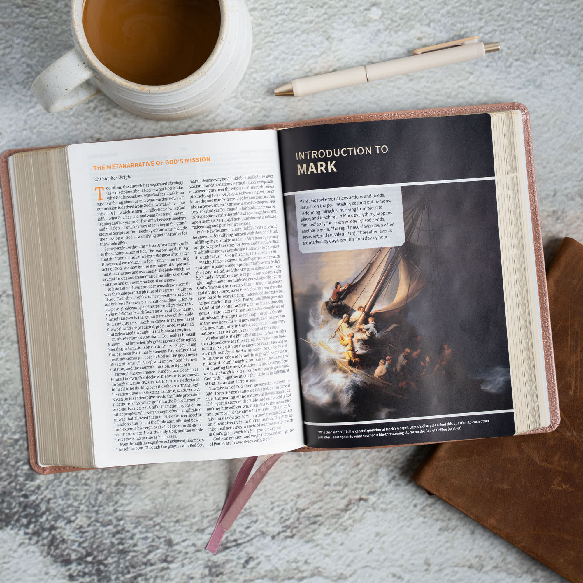 slide 7 of 11 for CSB Study Bible, Personal Size, Digital Study Edition, Rose Gold LeatherTouch