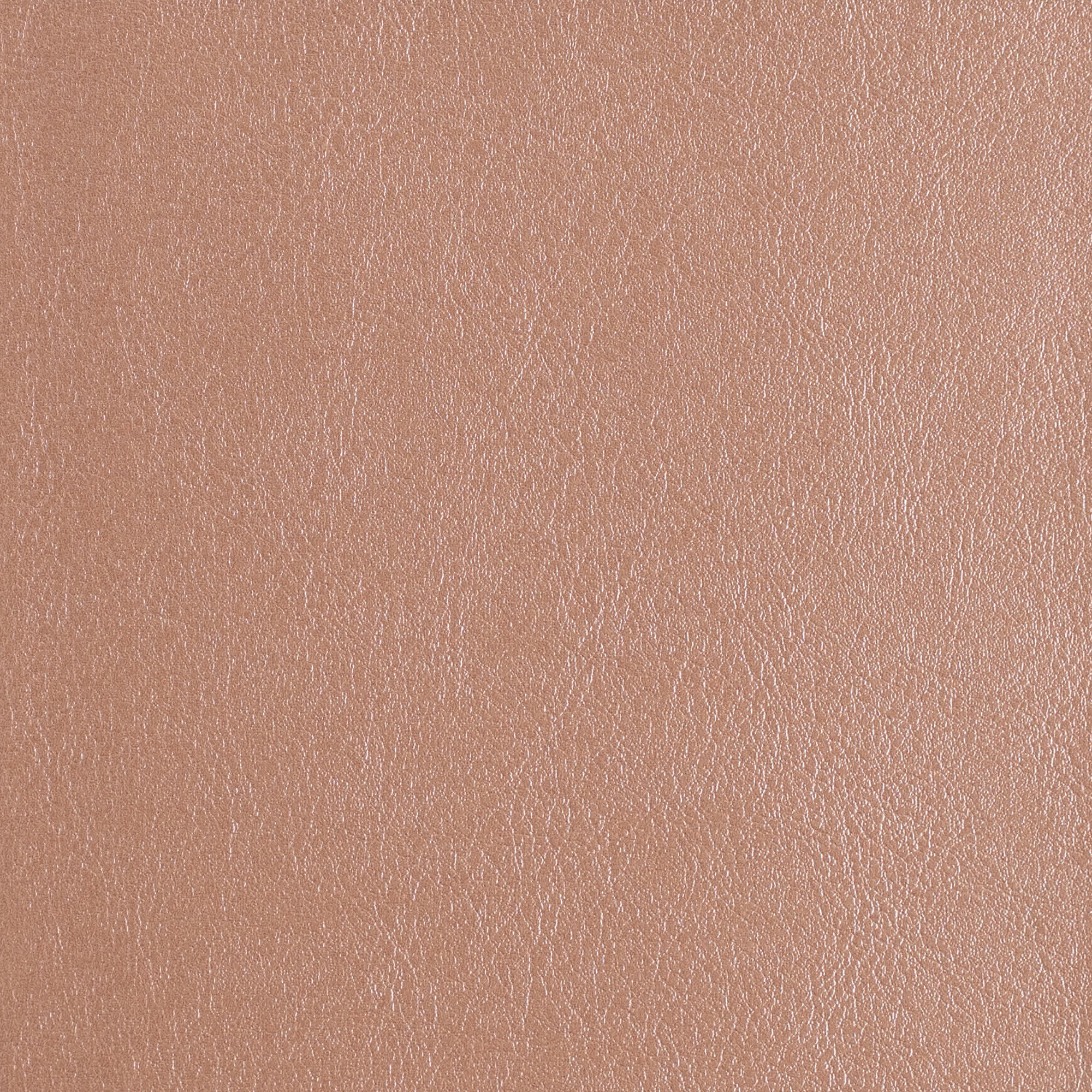 slide 10 of 11 for CSB Study Bible, Personal Size, Digital Study Edition, Rose Gold LeatherTouch