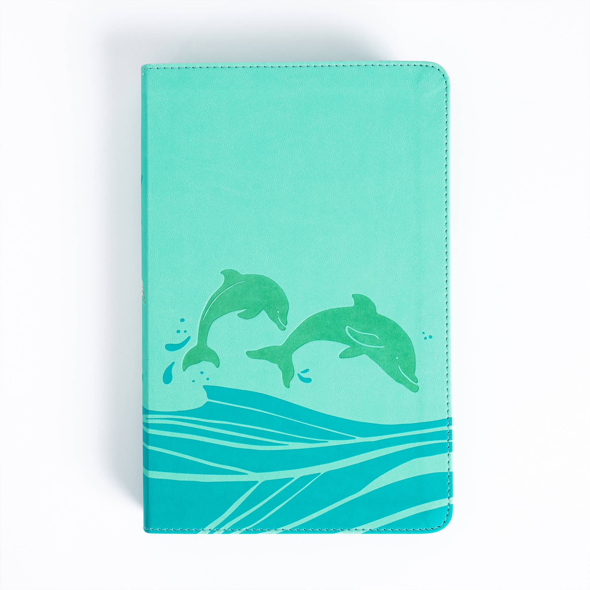 slide 2 of 16 for KJV Easy-for-Me Bible for Early Readers, Seafoam LeatherTouch