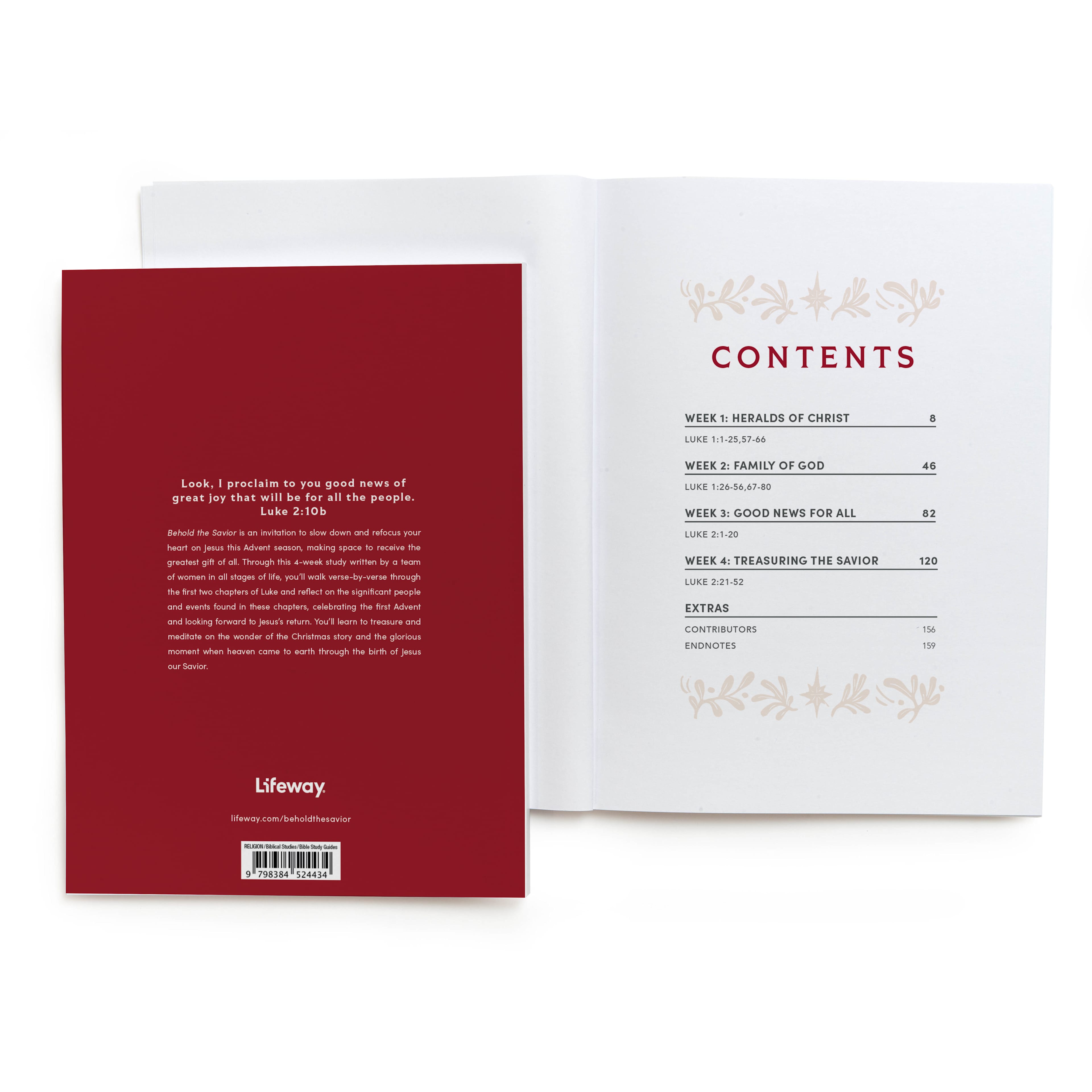 slide 2 of 5 for Behold the Savior - Advent Bible Study Book for Women