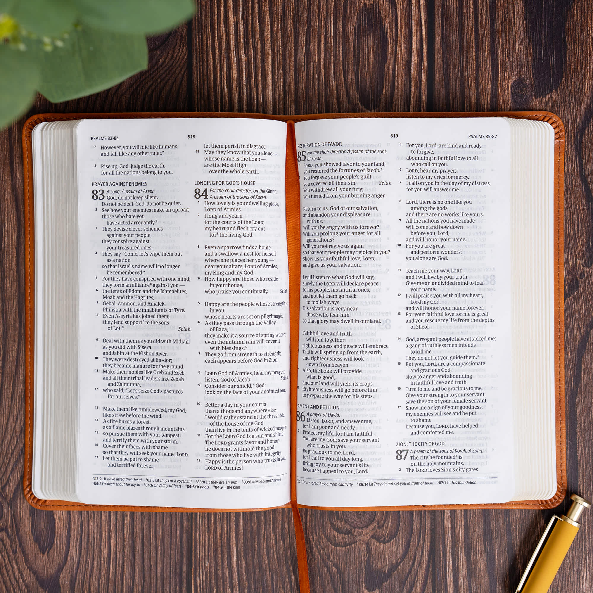 slide 6 of 12 for CSB Personal Size Bible, Saddle LeatherTouch