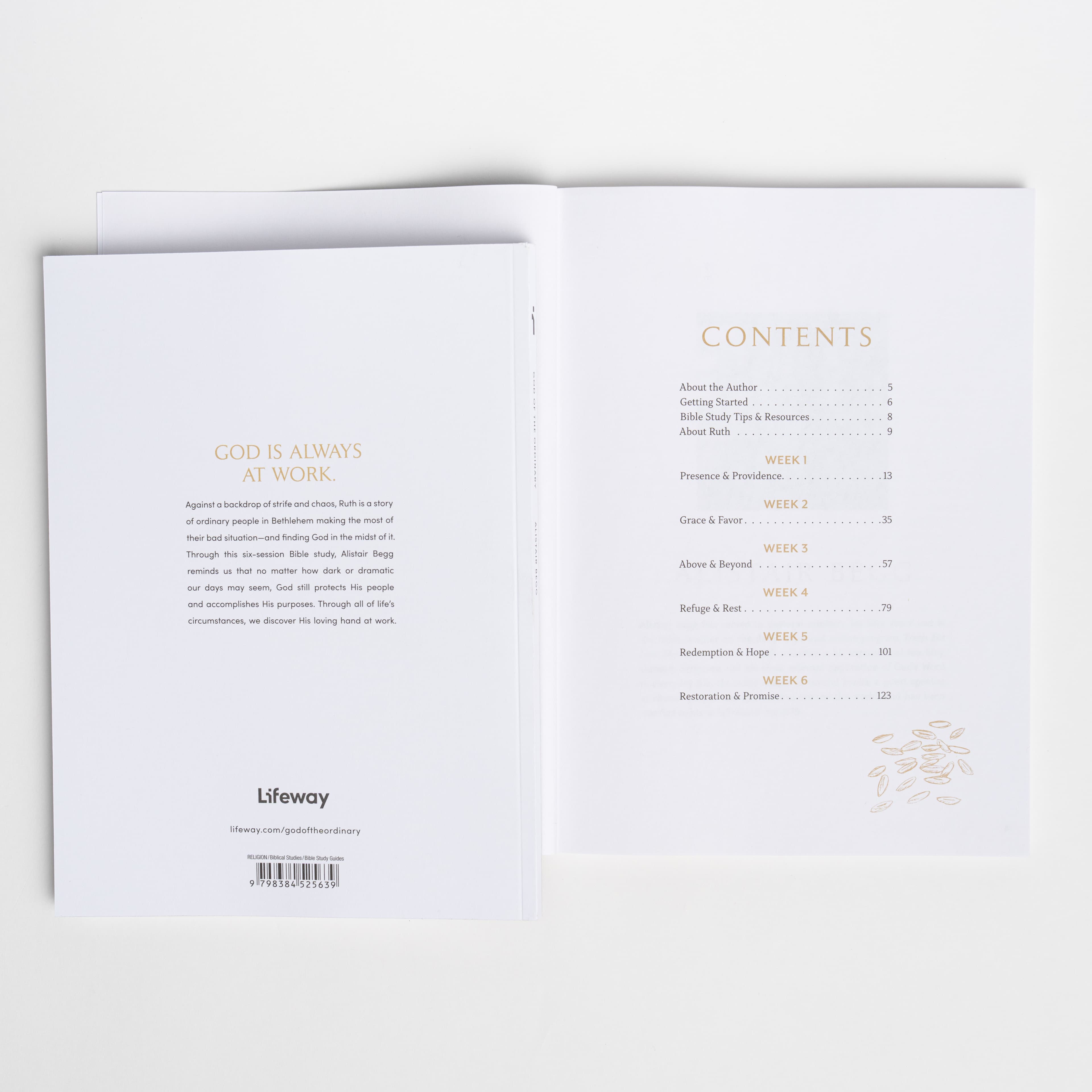 slide 2 of 7 for God of the Ordinary - Bible Study Book with Video Access