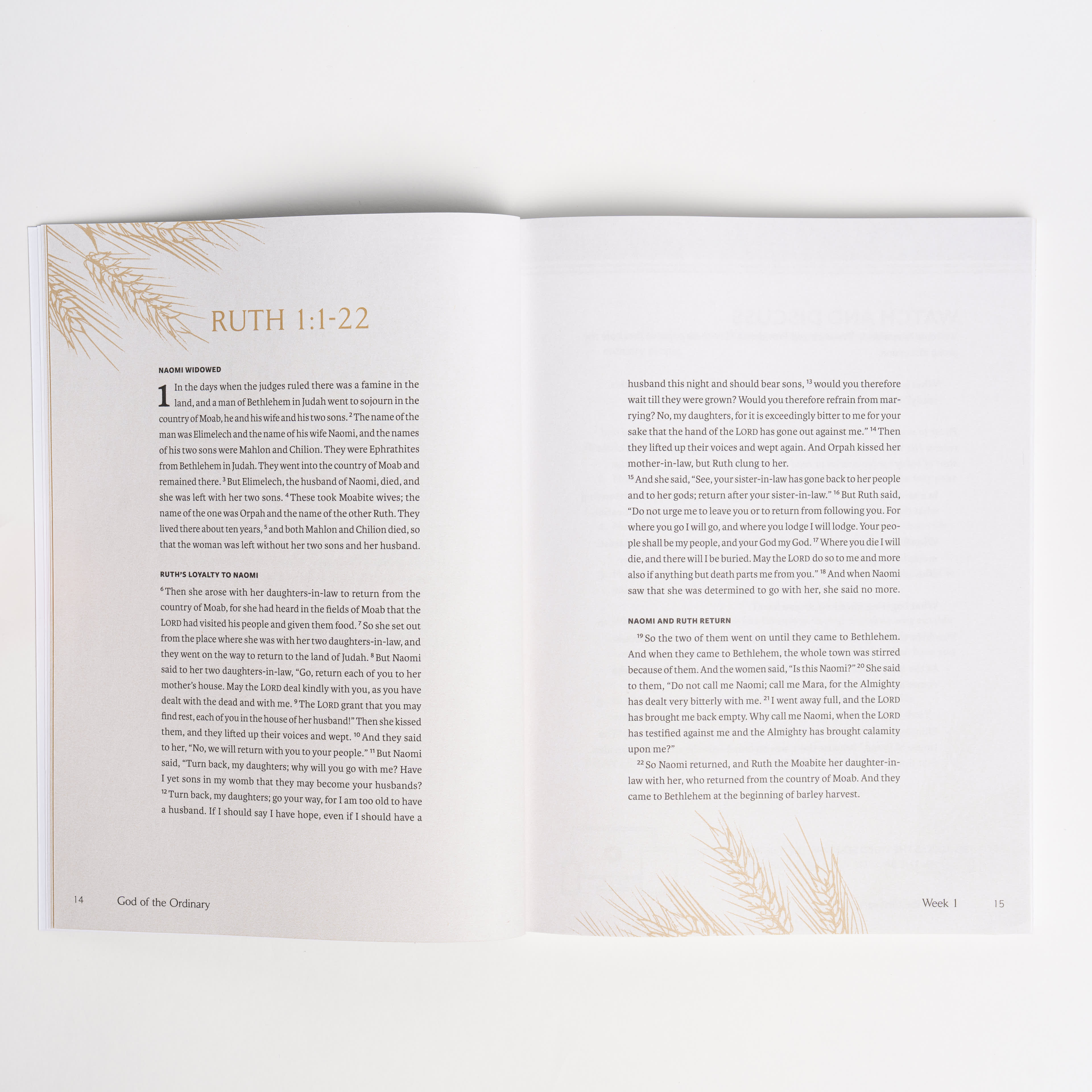 slide 4 of 7 for God of the Ordinary - Bible Study Book with Video Access