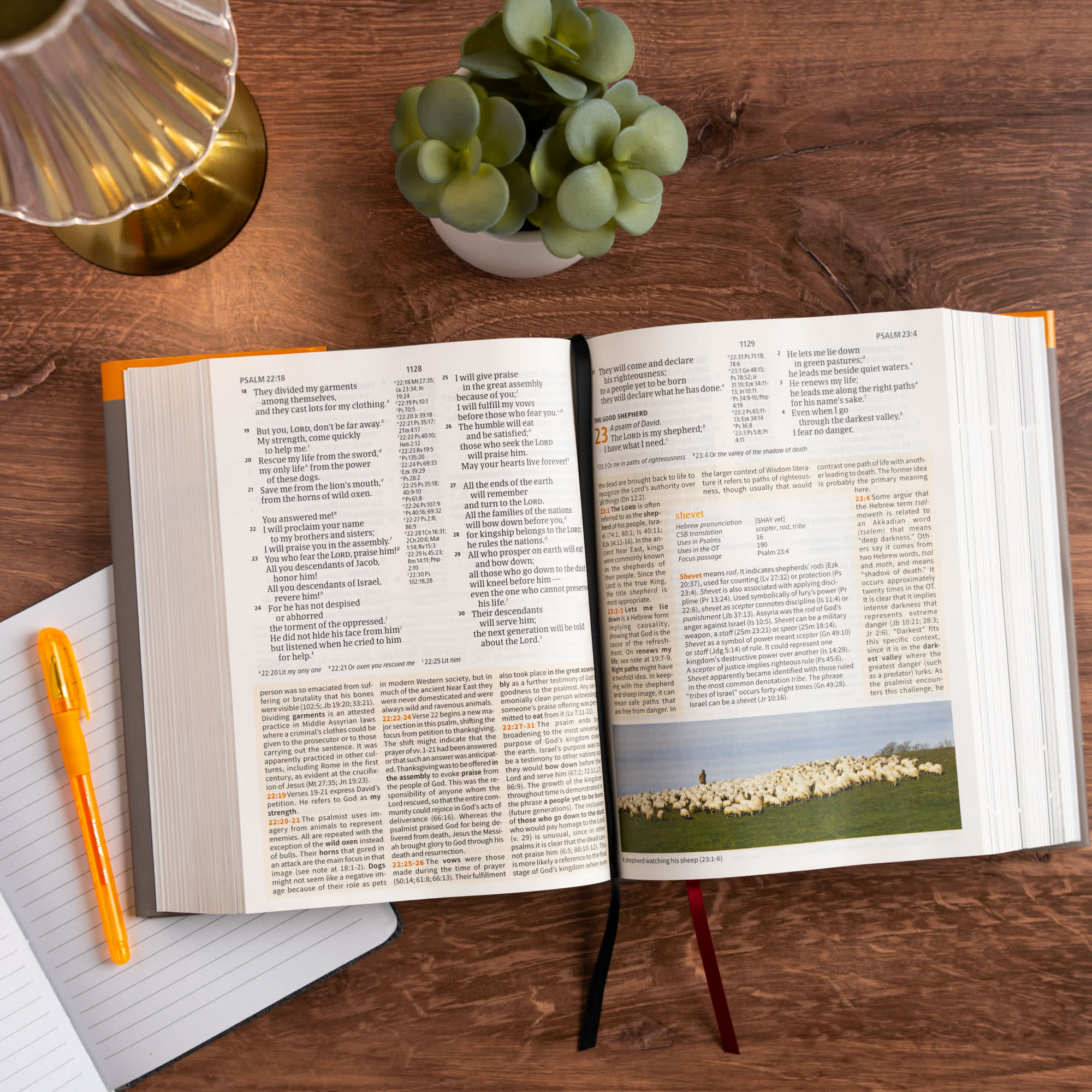 slide 4 of 12 for CSB Study Bible, Large Print, Digital Study Edition, Hardcover