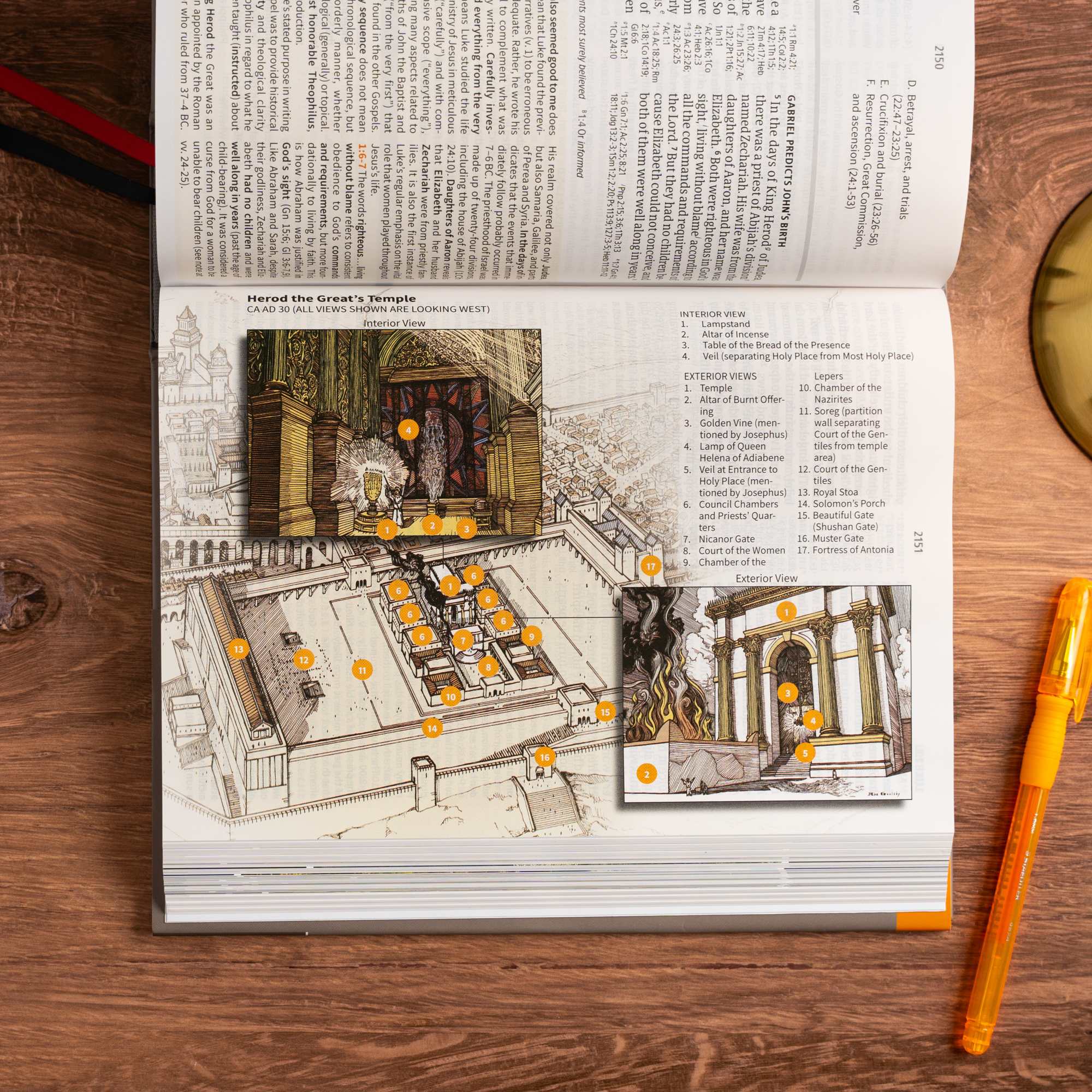 slide 6 of 12 for CSB Study Bible, Large Print, Digital Study Edition, Hardcover