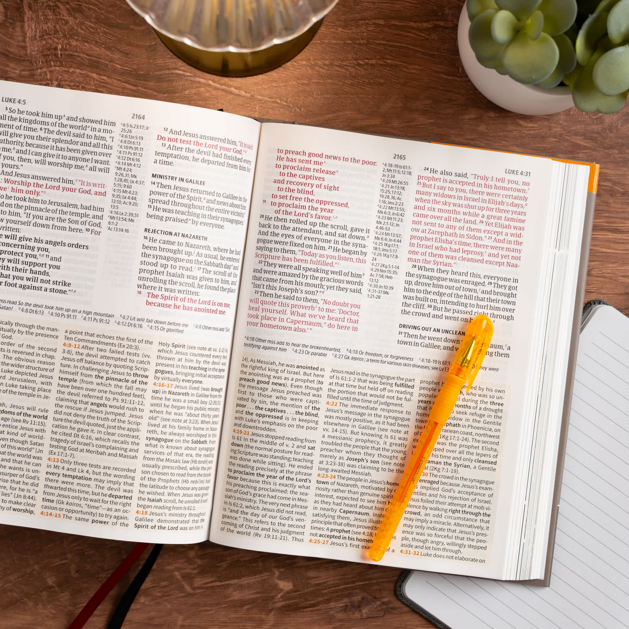 slide 7 of 12 for CSB Study Bible, Large Print, Digital Study Edition, Hardcover