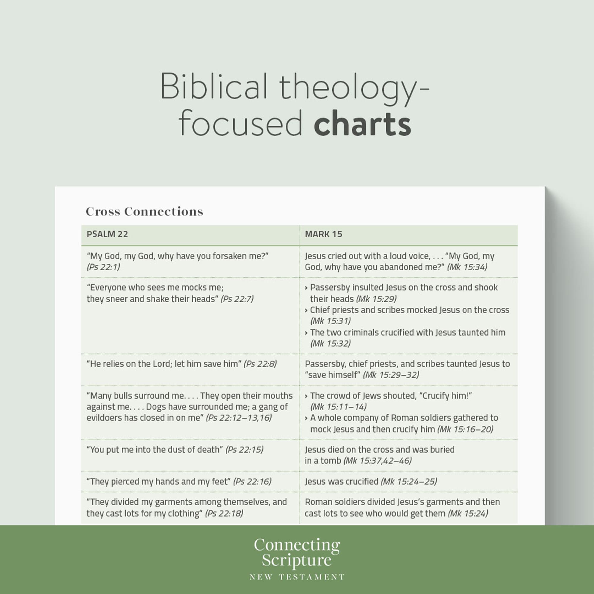 slide 18 of 18 for CSB Connecting Scripture New Testament, Hardcover