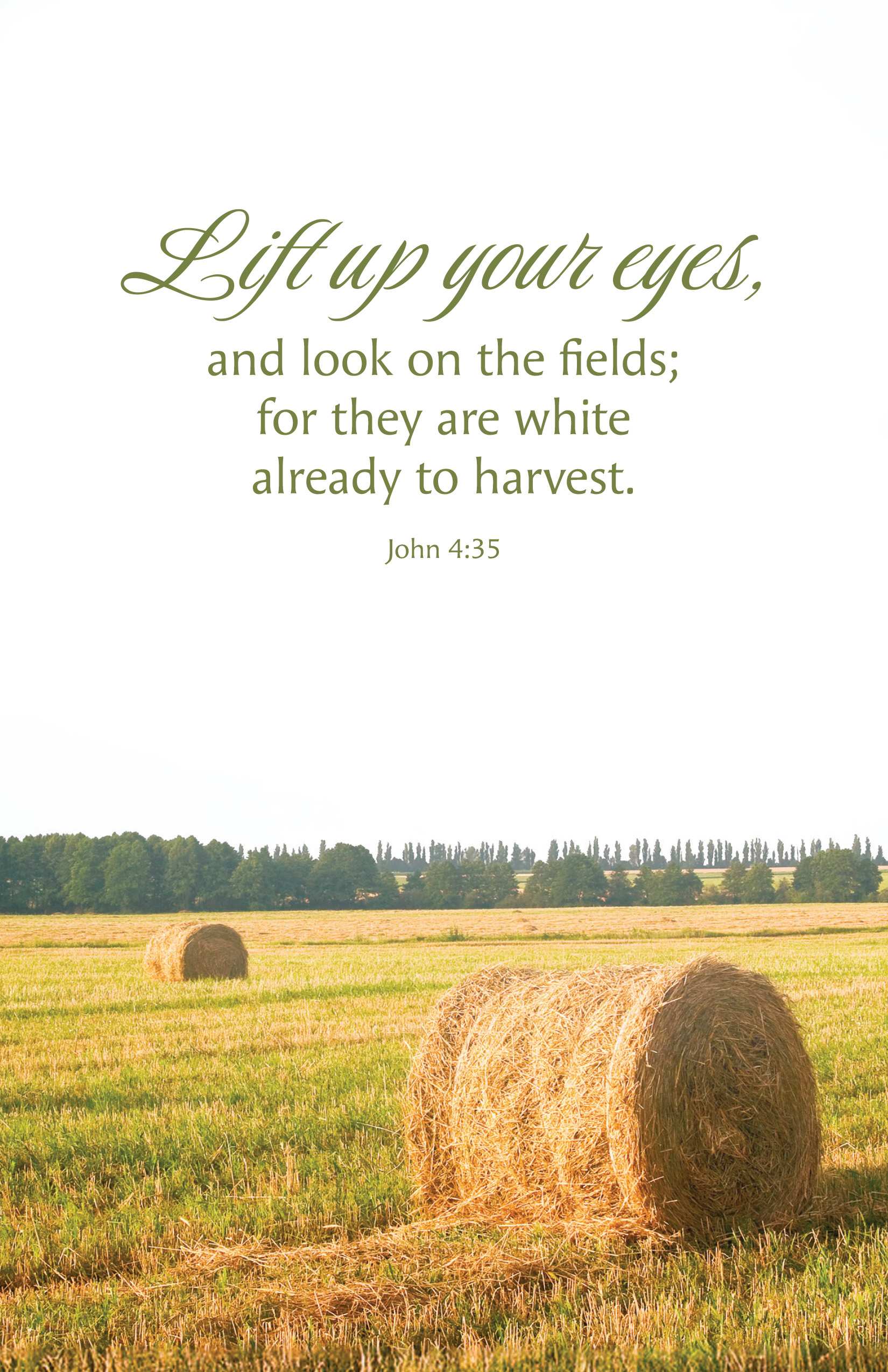 General Worship Bulletin: LIft Up (Package of 100)