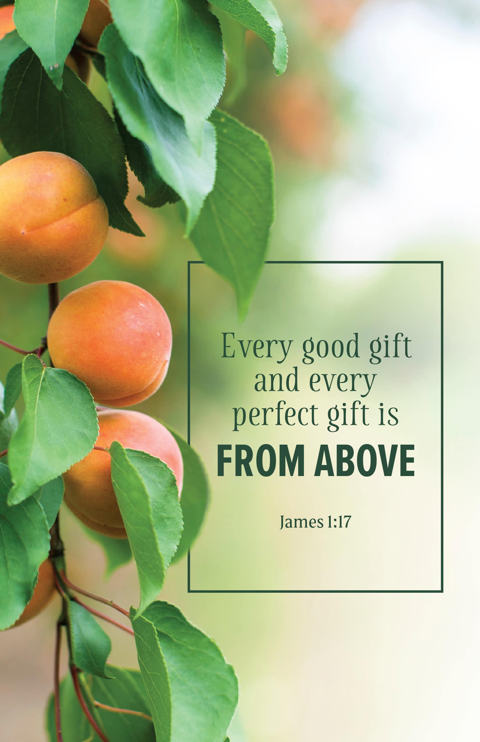 Evangelism Bulletin: Every (Package of 100)