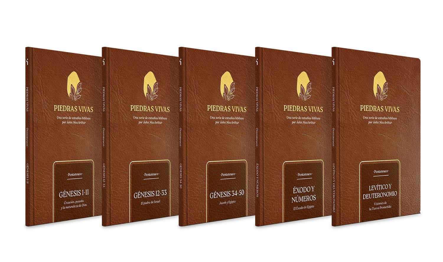 Piedras vivas: El Pentateuco - La serie completa
