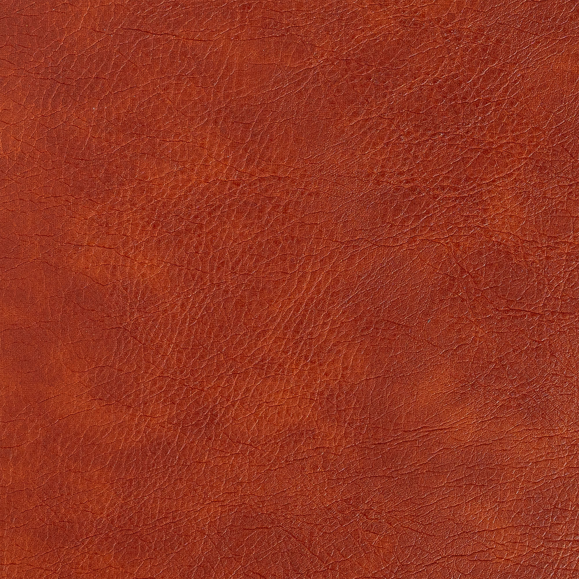 slide 10 of 11 for NASB Personal Size Giant Print Bible, Burnt Sienna LeatherTouch