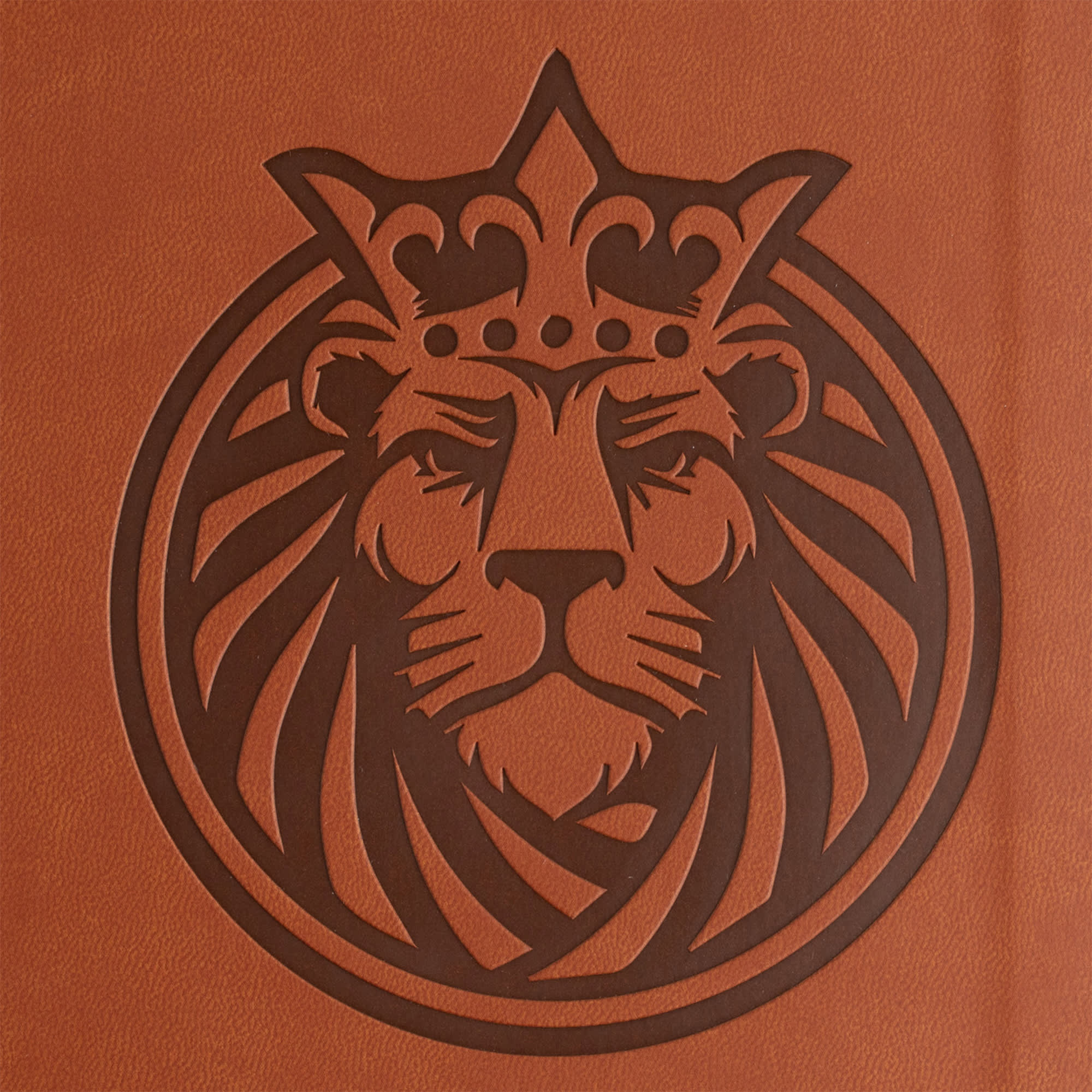slide 9 of 10 for CSB Kids Bible, Anglicised Edition, Lion LeatherTouch