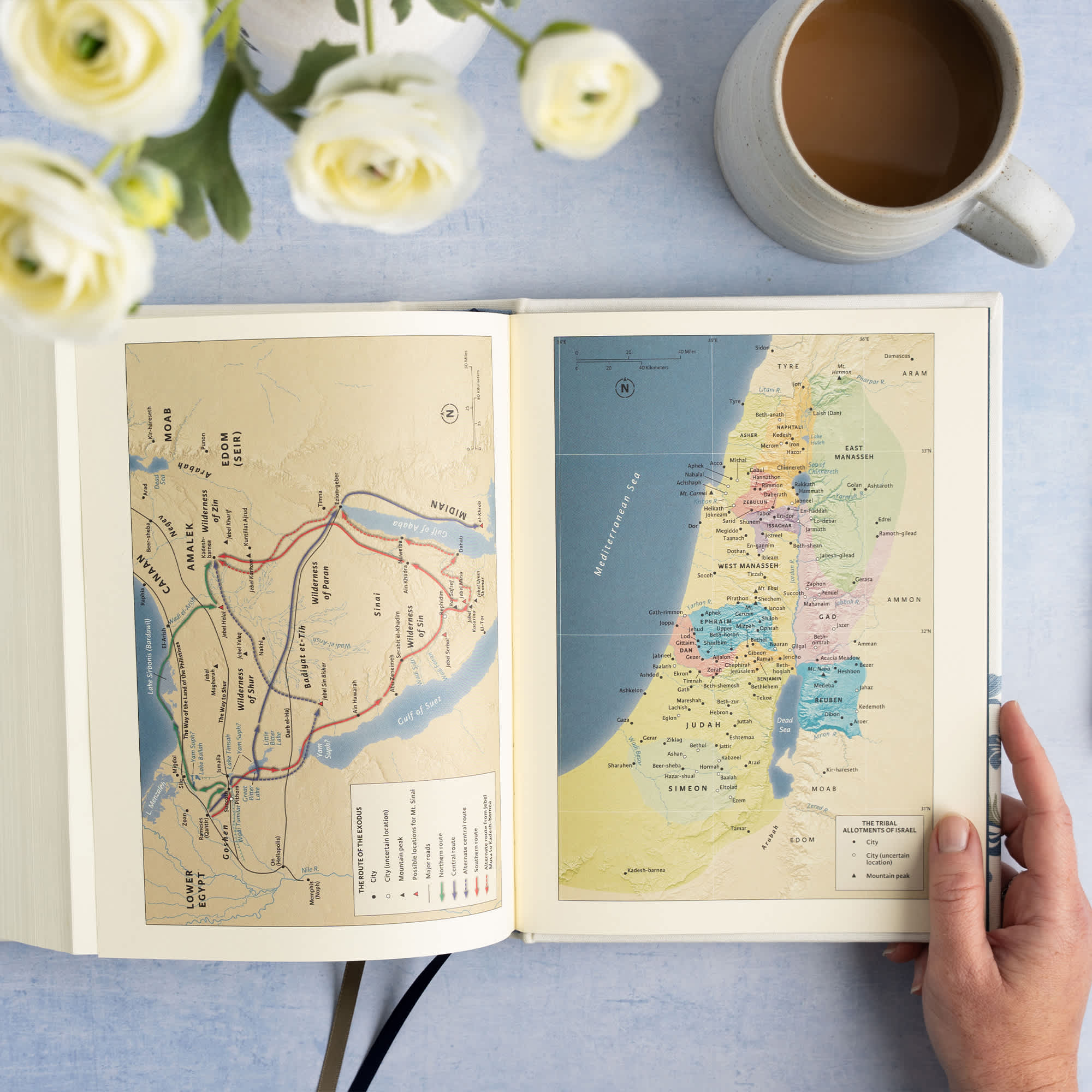 slide 8 of 11 for CSB Notetaking Bible, Large Print Edition, Cream Floral Cloth Over Board