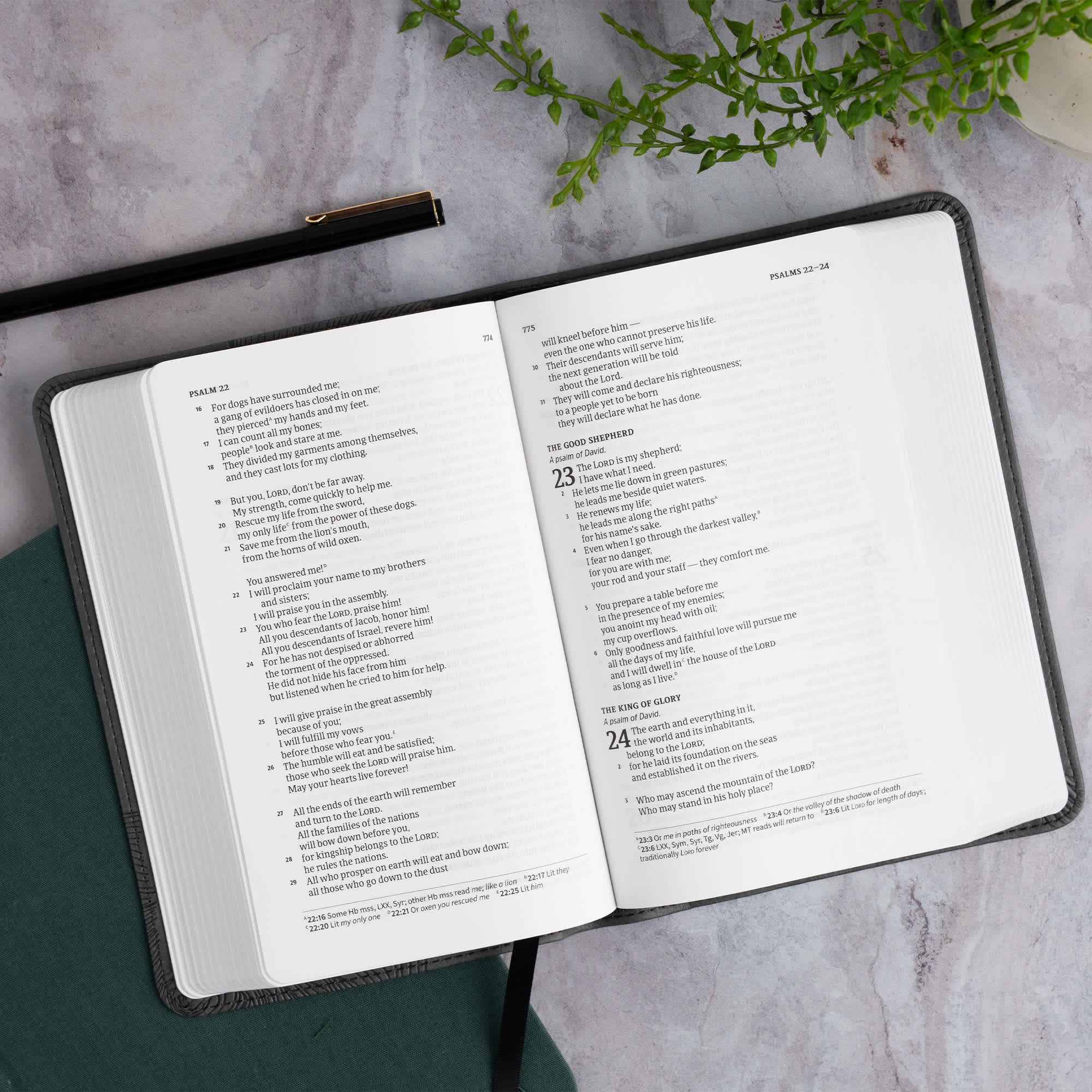 slide 5 of 11 for CSB Single-Column Compact Bible, Digital Study Edition, Charcoal LeatherTouch