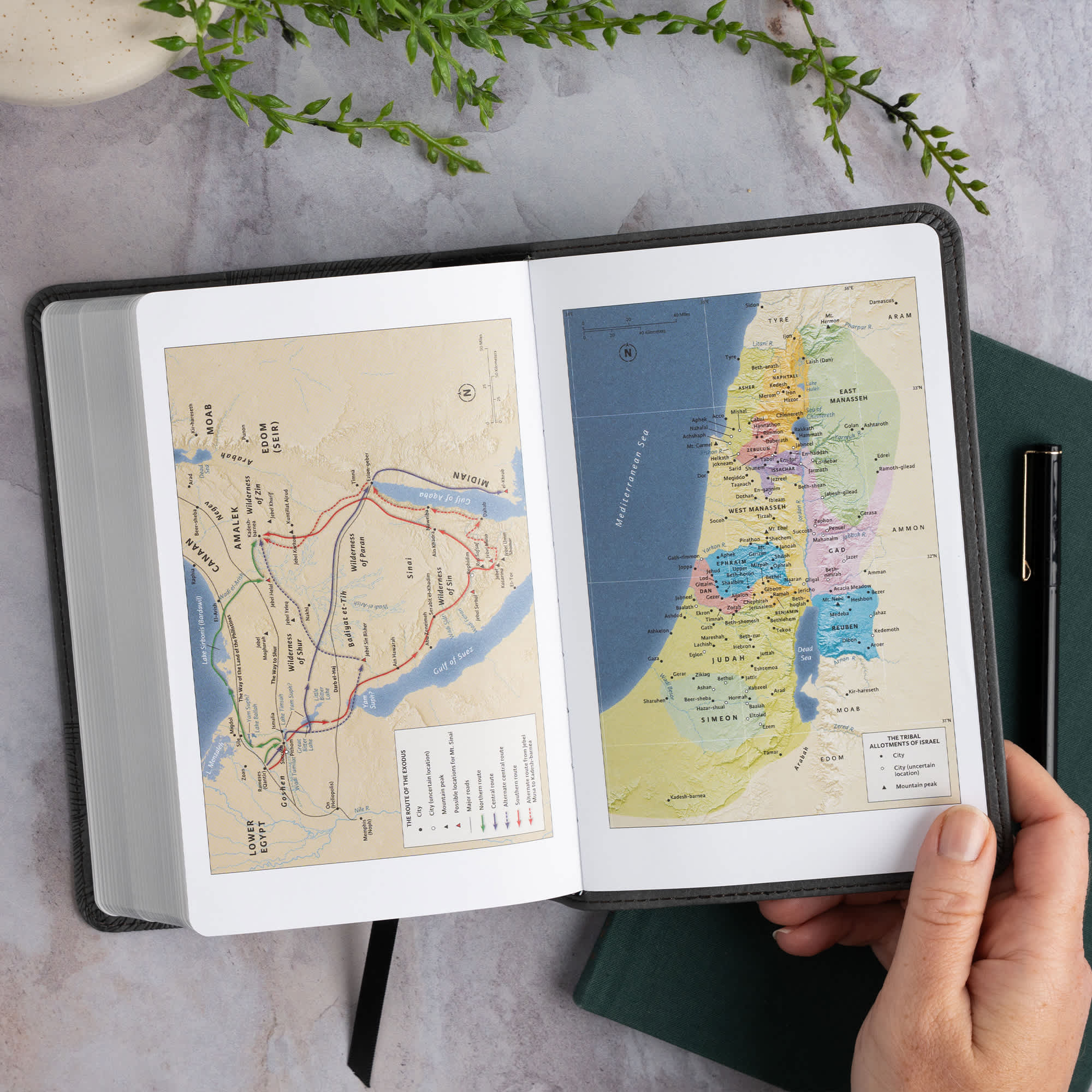 slide 8 of 13 for CSB Single-Column Compact Bible, Digital Study Edition, Charcoal LeatherTouch