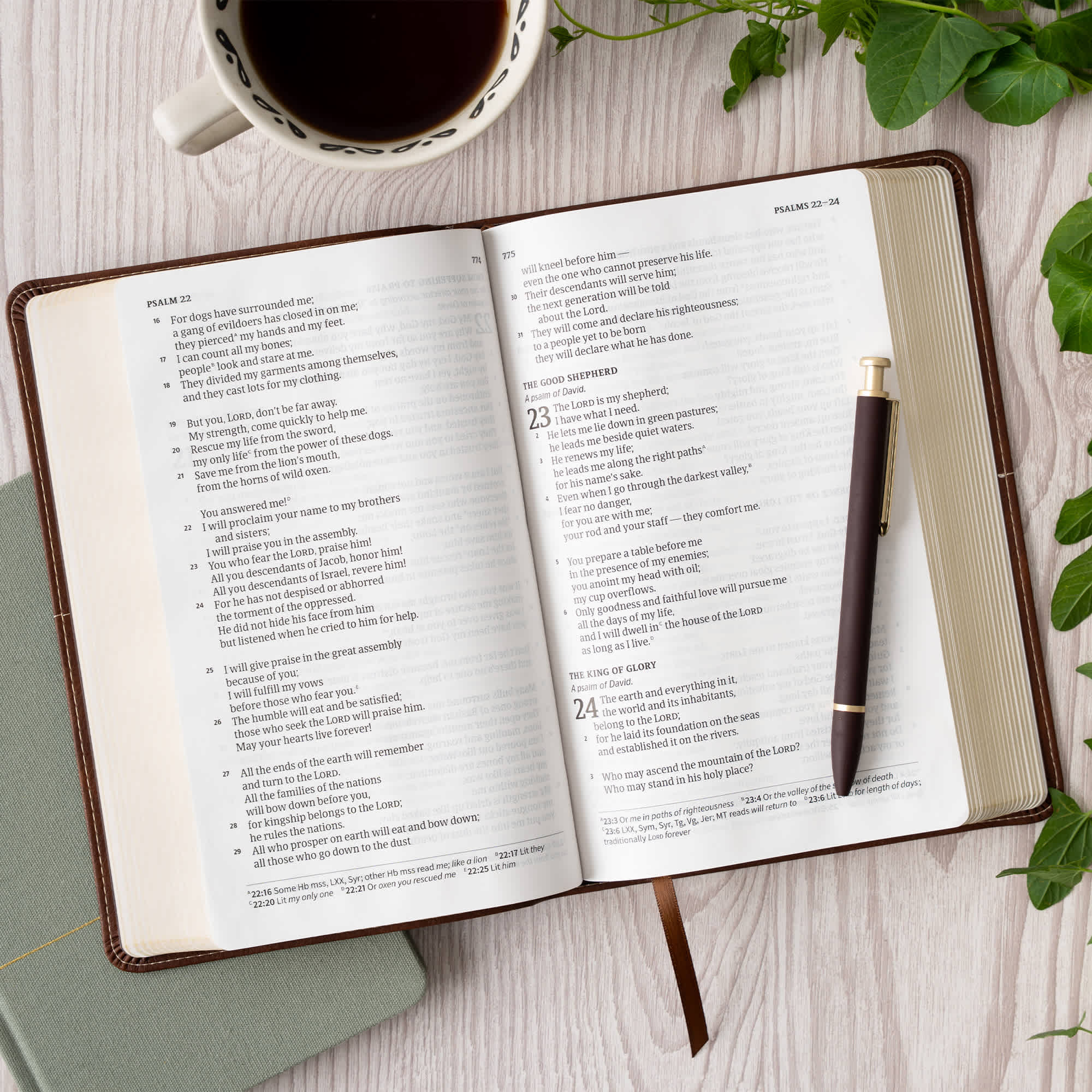 slide 5 of 11 for CSB Single-Column Personal Size Bible, Digital Study Edition, Brown LeatherTouch